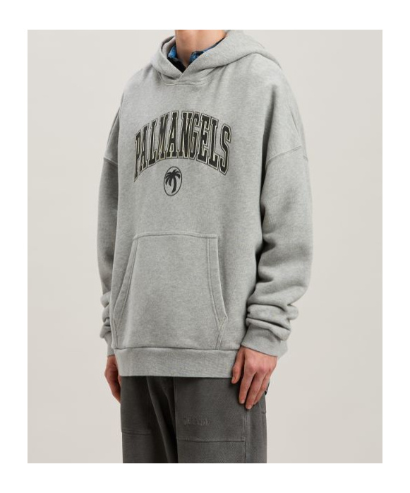 Palm Angels College Palm Logo Printed Hoodie In Gray