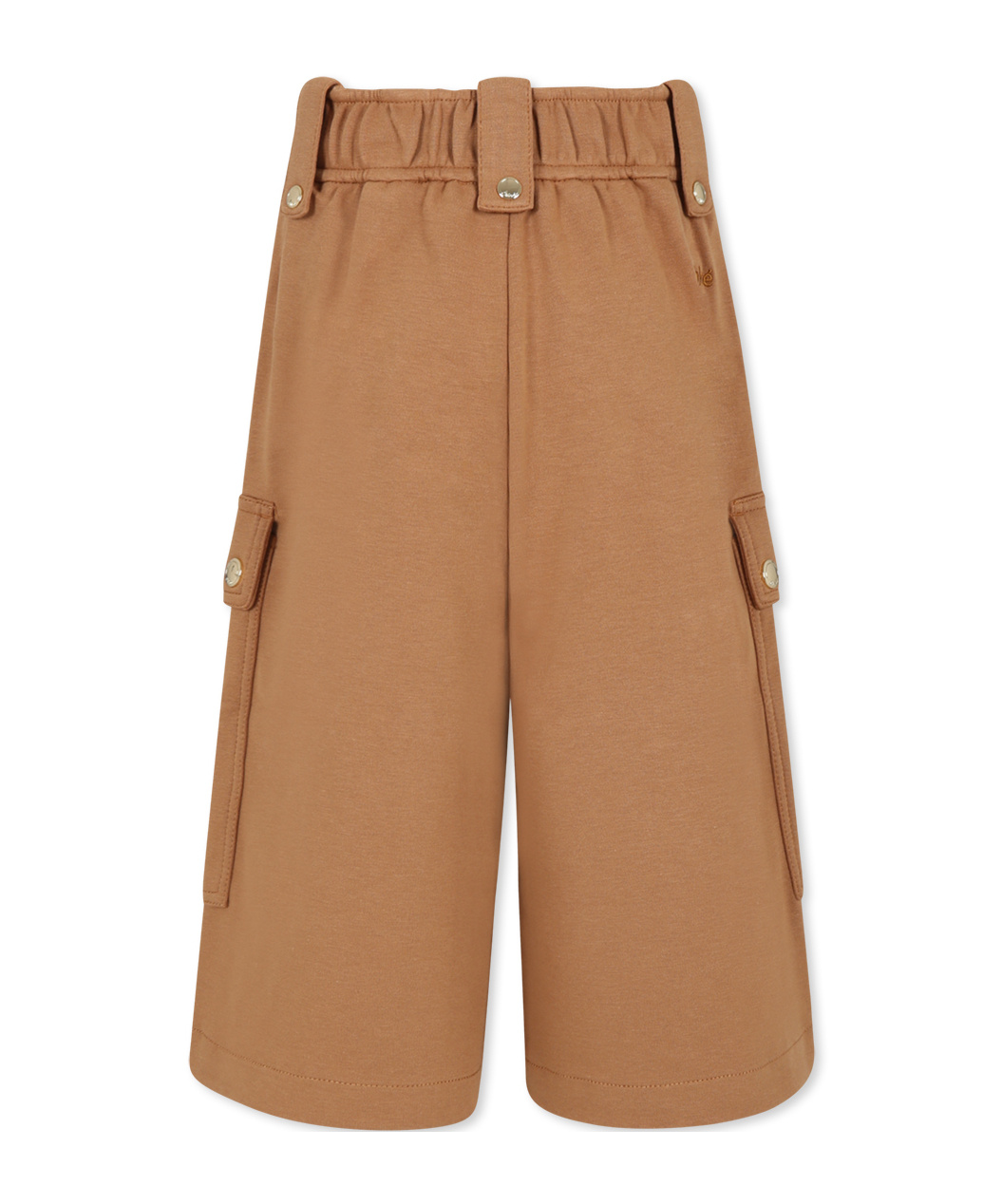 Chloé Belt-loop Casual Pants In Brown