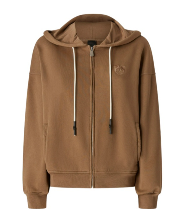 Pinko Malizioso Sweater In Brown