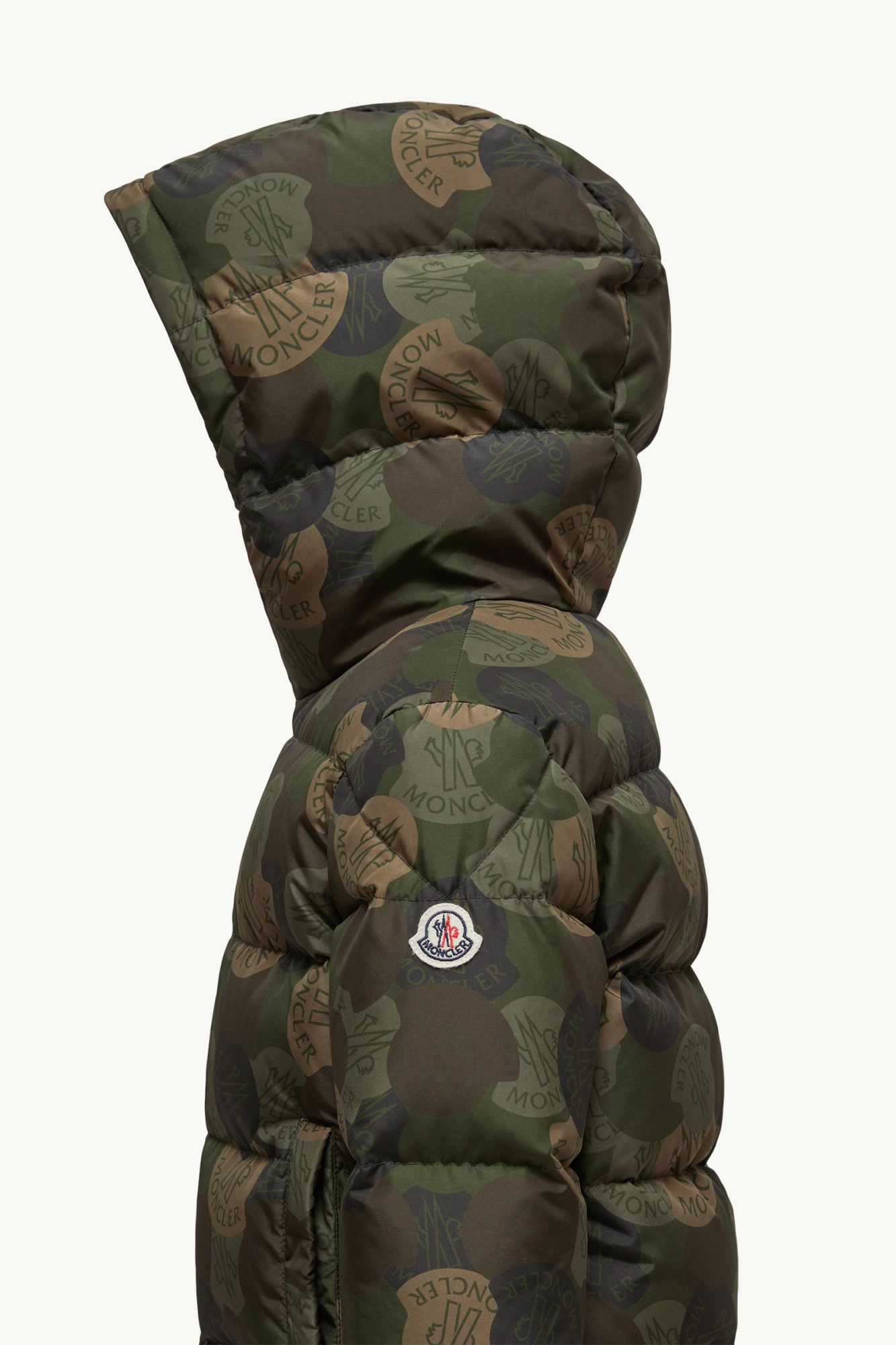 Moncler Escer Hooded Down Jacket In Multi