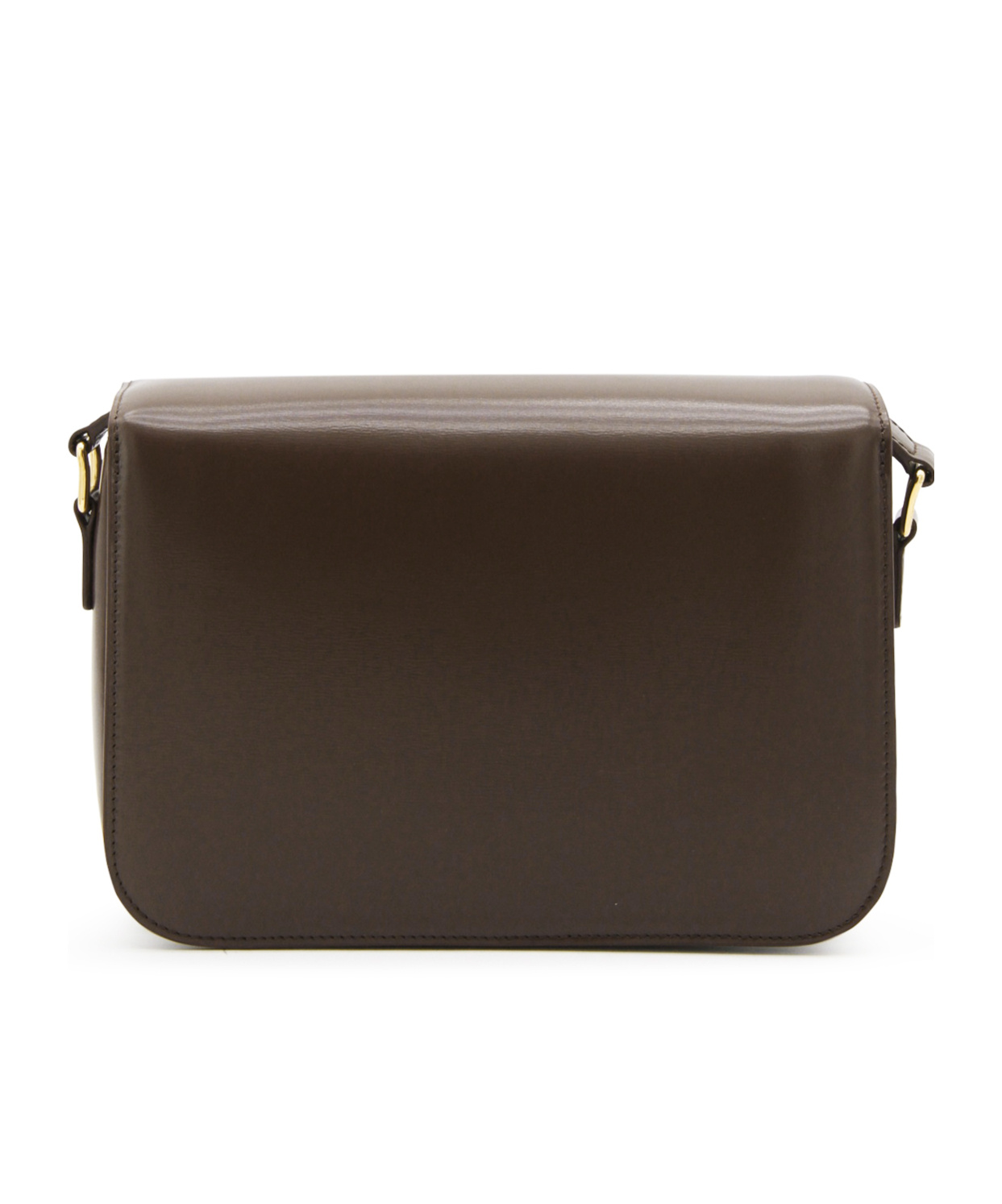 Shop Celine Classique Triomphe Bag In Shiny Calfskin In Brown