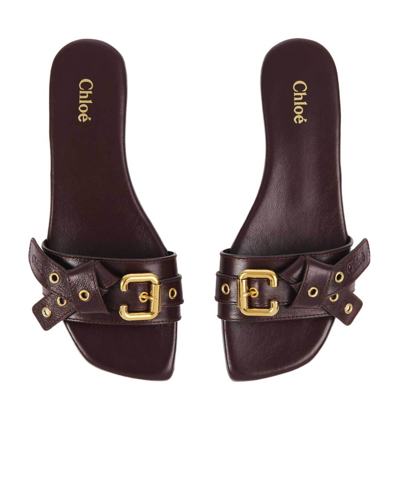 Chloé Mae Slippers In Black