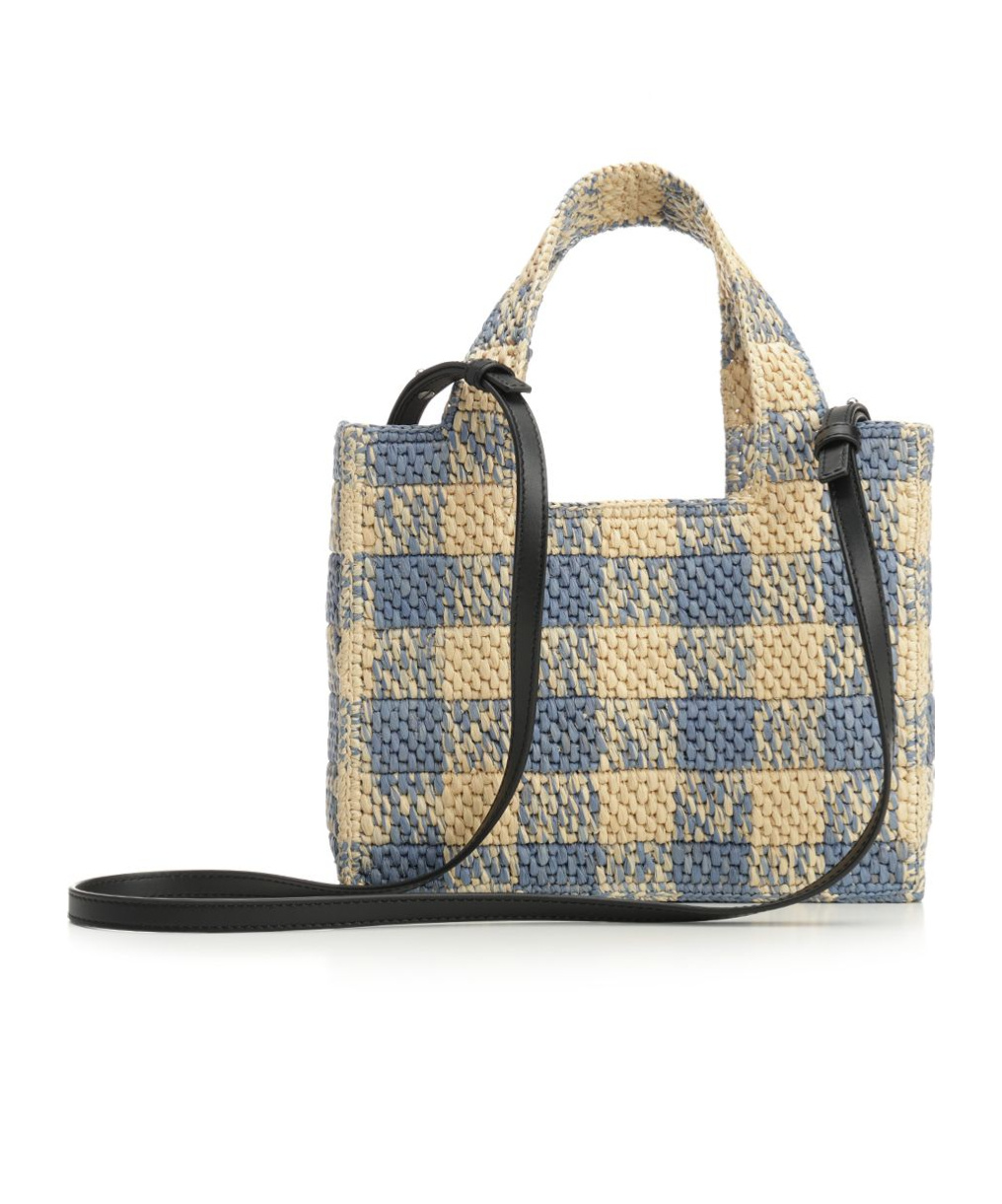 Loewe Small Tote Bag In Gingham Raffia In Multicolor