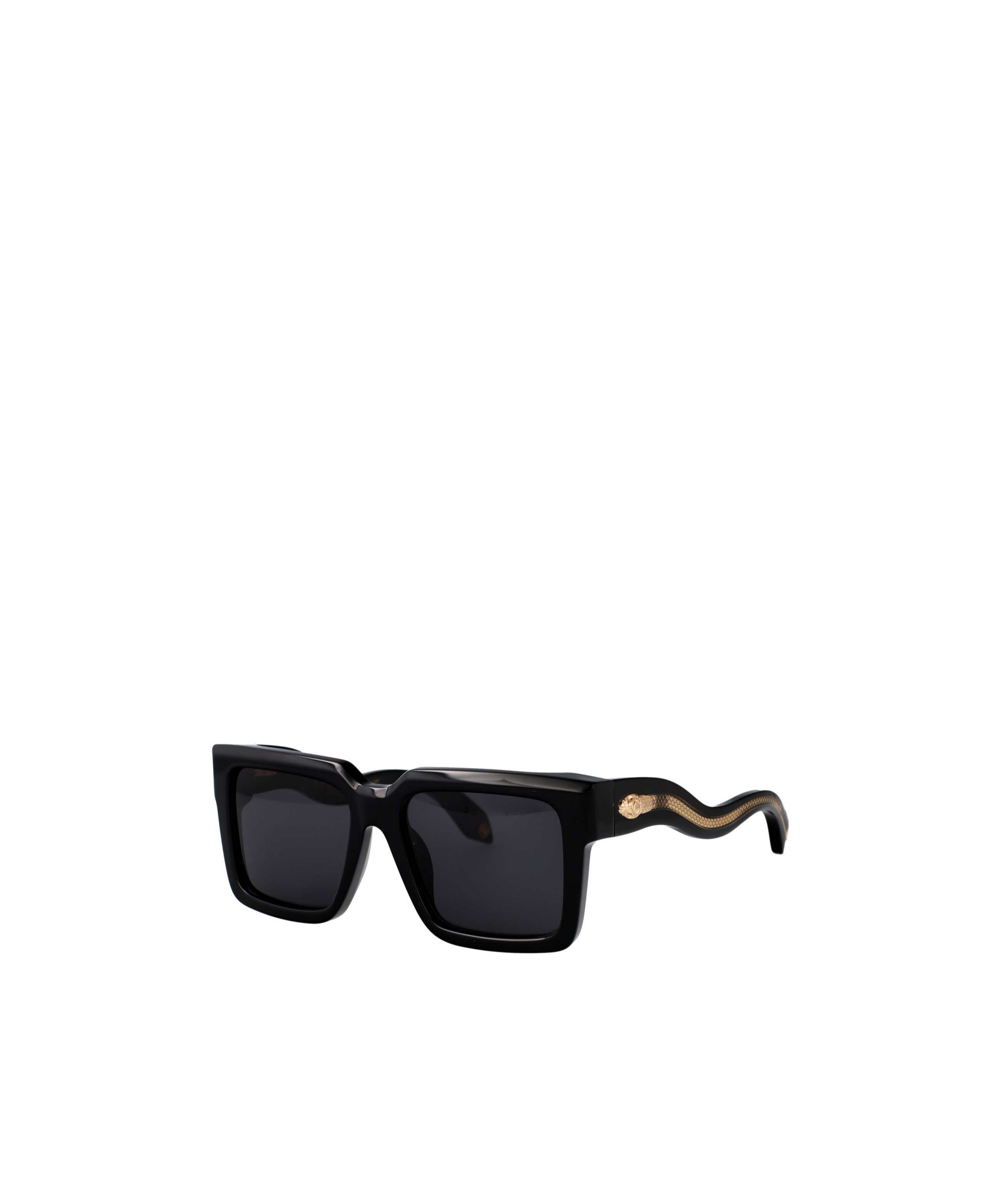 Roberto Cavalli Src055 Sunglasses In Black