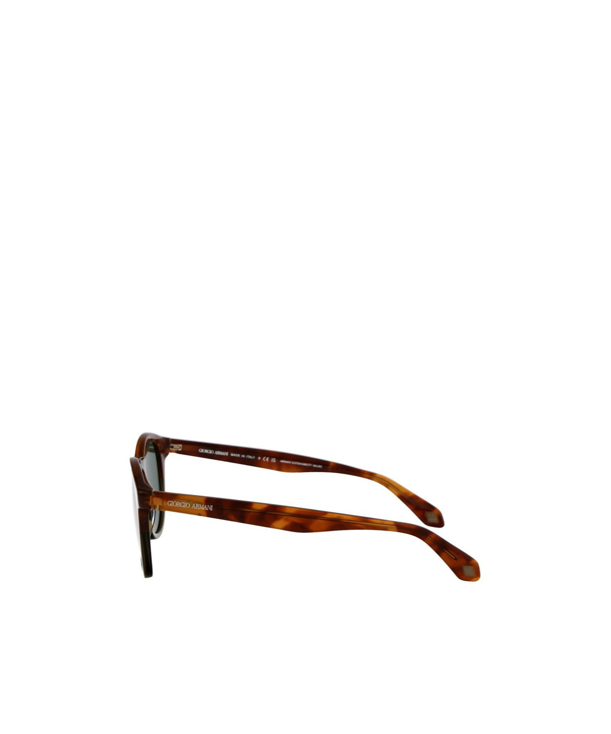 Giorgio Armani Pantos-frame Sunglasses In Green