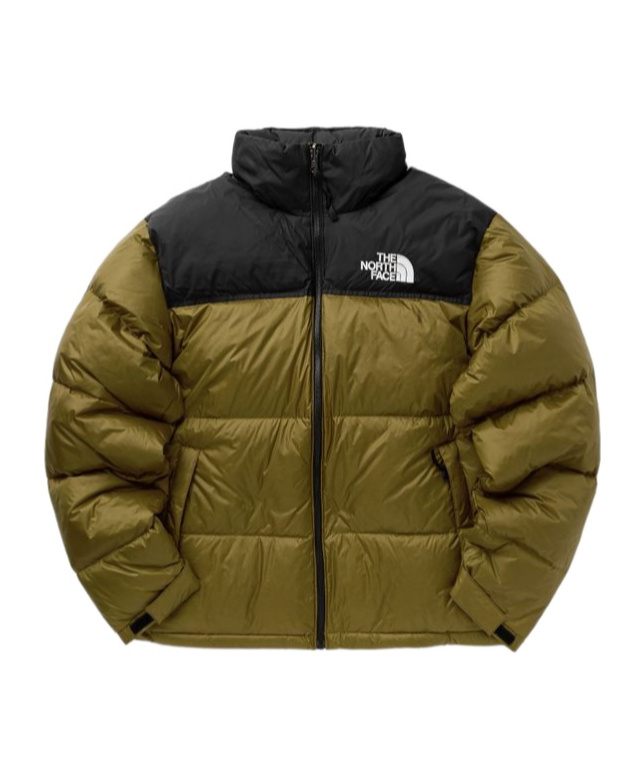The North Face 1996 Retro Nuptse Jacket In Brown