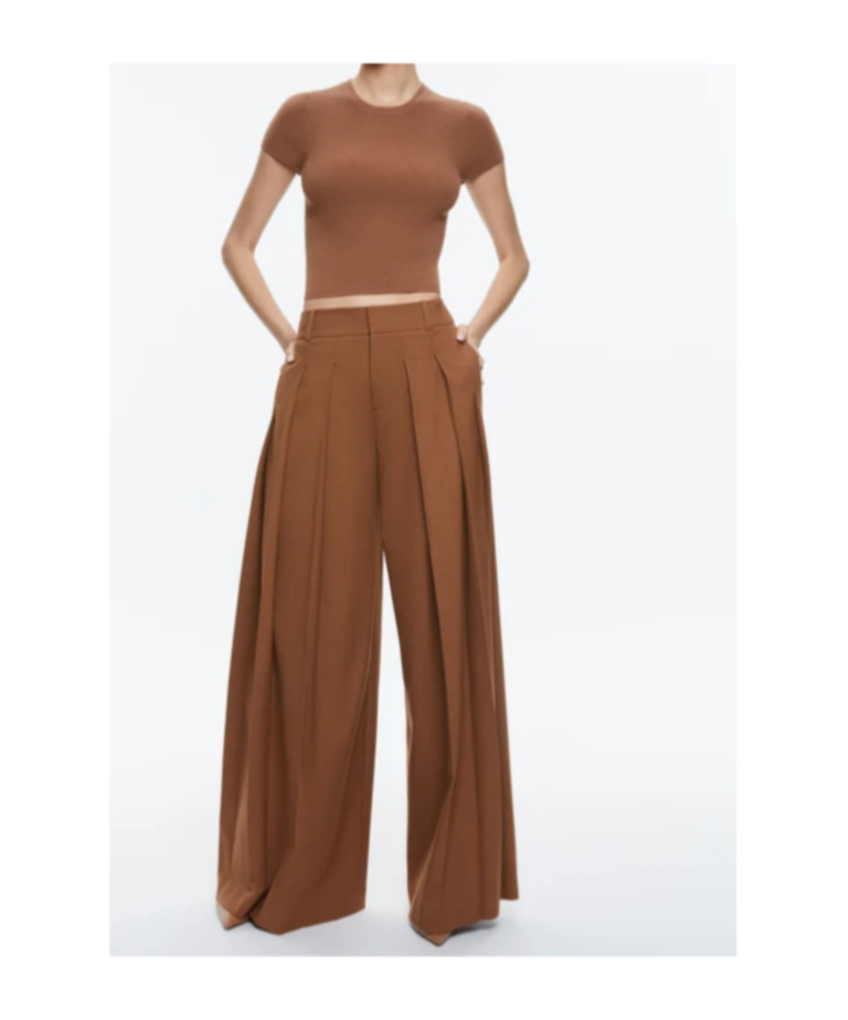 Alice And Olivia Belt-loop Casual Pants In Brown