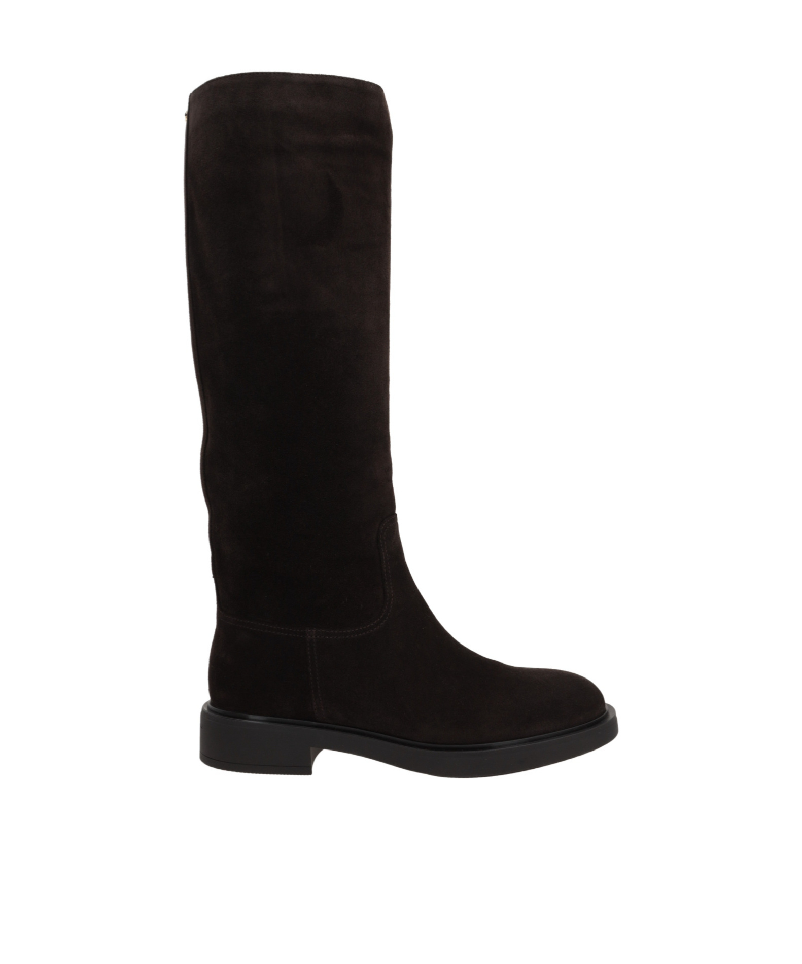 Gianvito Rossi Dark Brown Suede Ascott Boots In Black