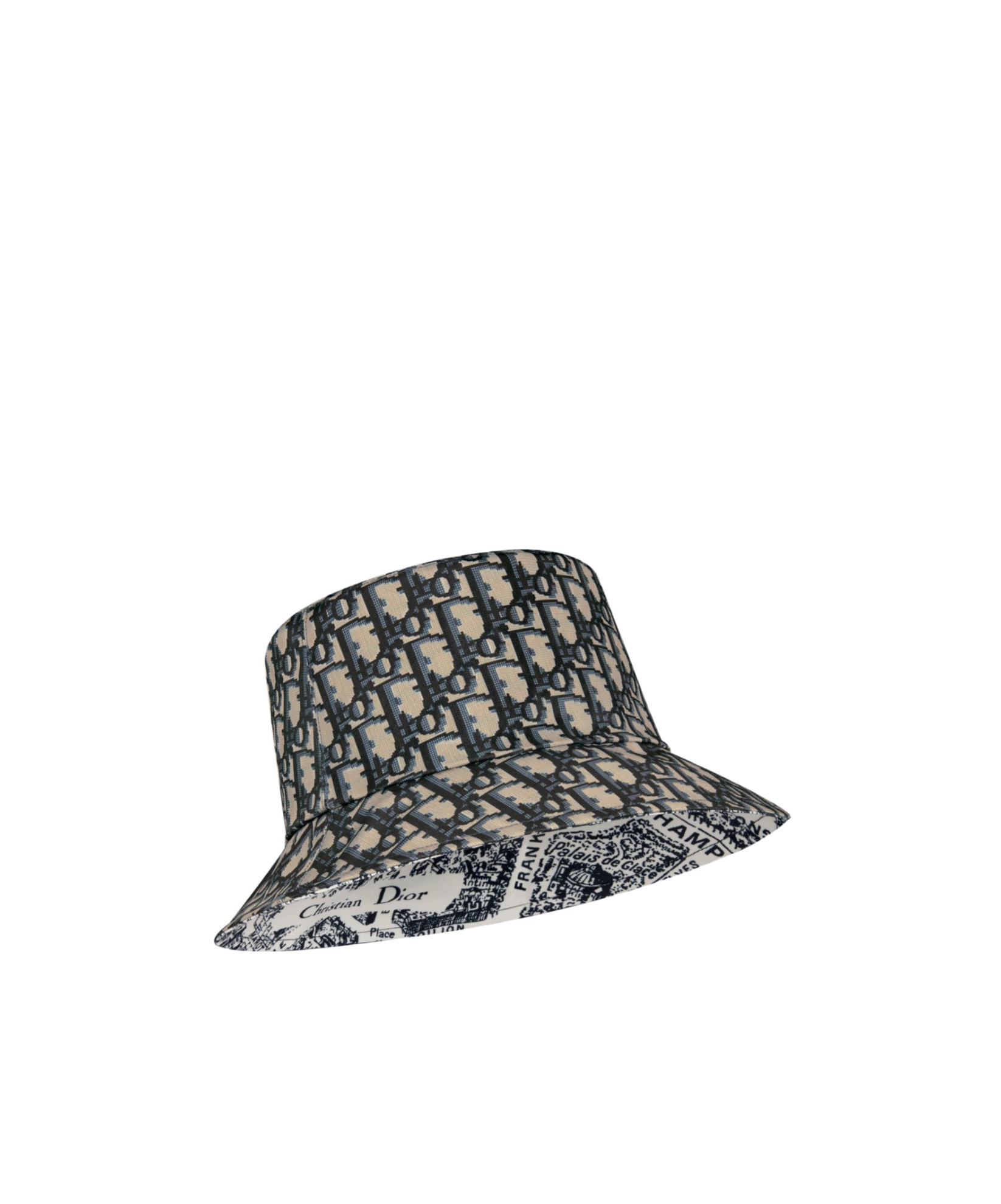 Dior Teddy-d Plan De Paris Reversible Small Brim Bucket Hat In Gray