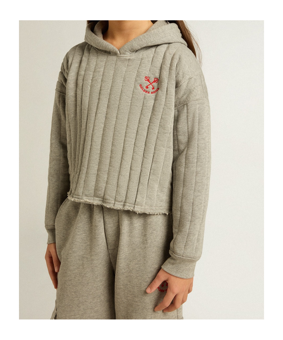 Golden Goose Journey Hoodie In Gray