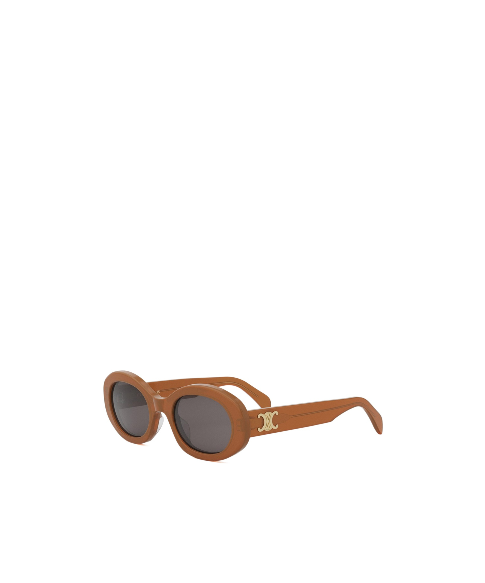 Celine Triomphe Cl40194u 45a In Brown