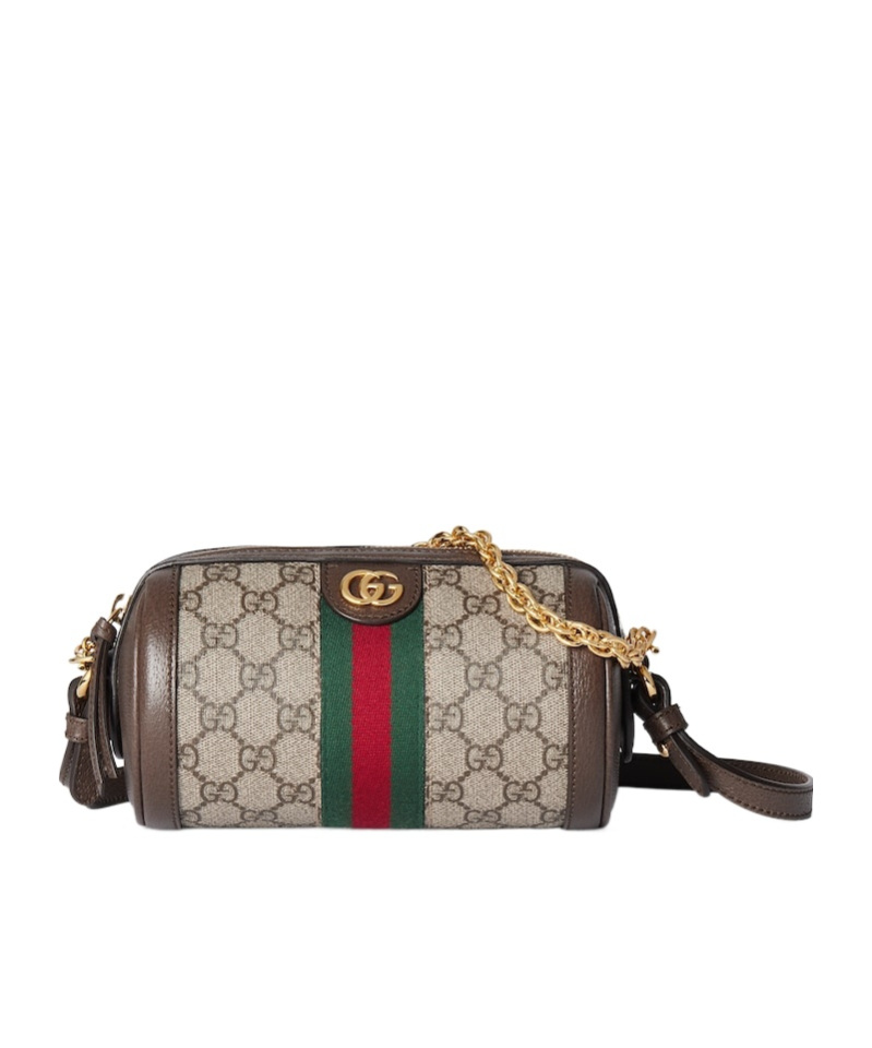 Gucci Mini Shoulder Bag Featuring Chain Strap In Multi
