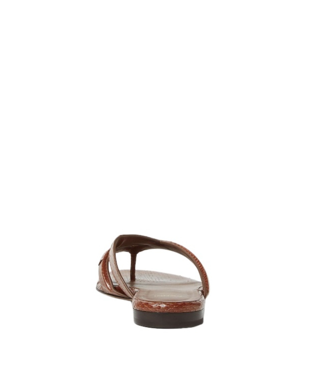 Fendi Women Infradito Ayers Sandals In Brown