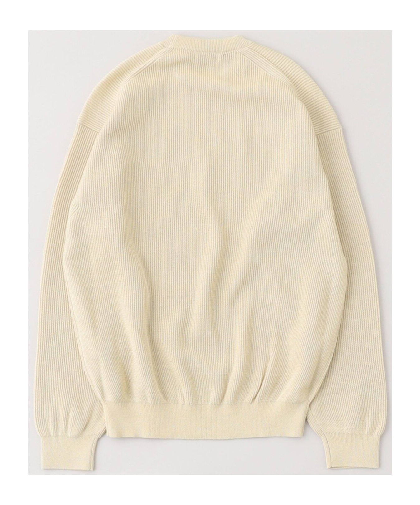 Auralee Textured Rib Knit Sweater With Long Sleeves In Ivory