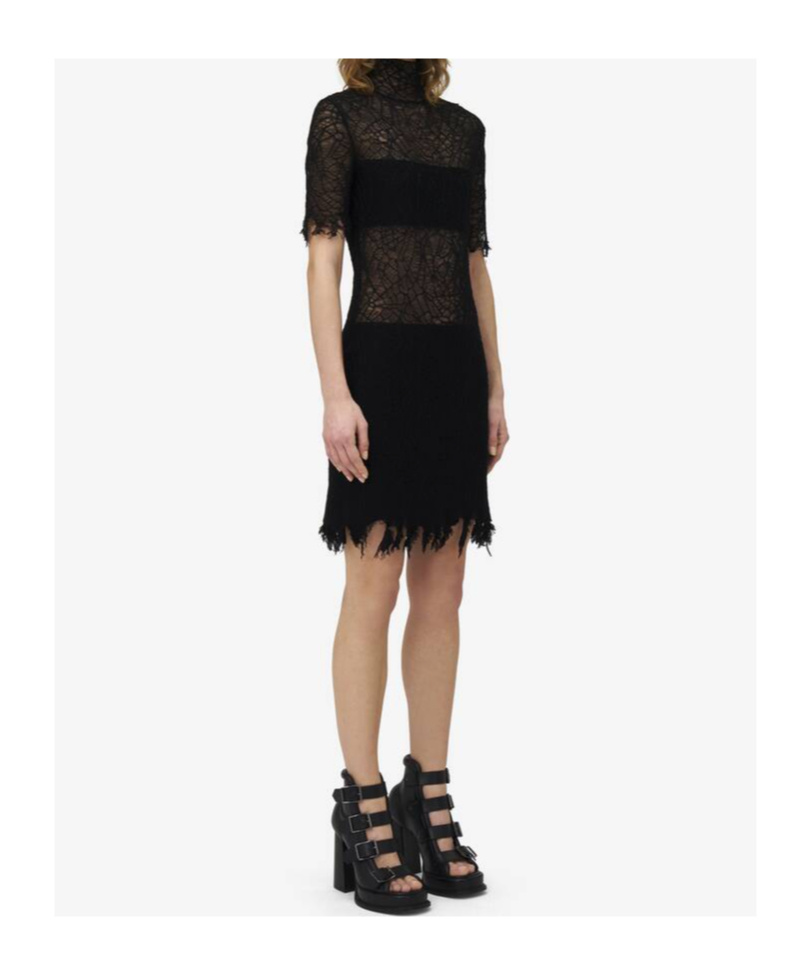 Alexander Mcqueen Lace Dress With Cotton Inserts And Organic Silk In Black