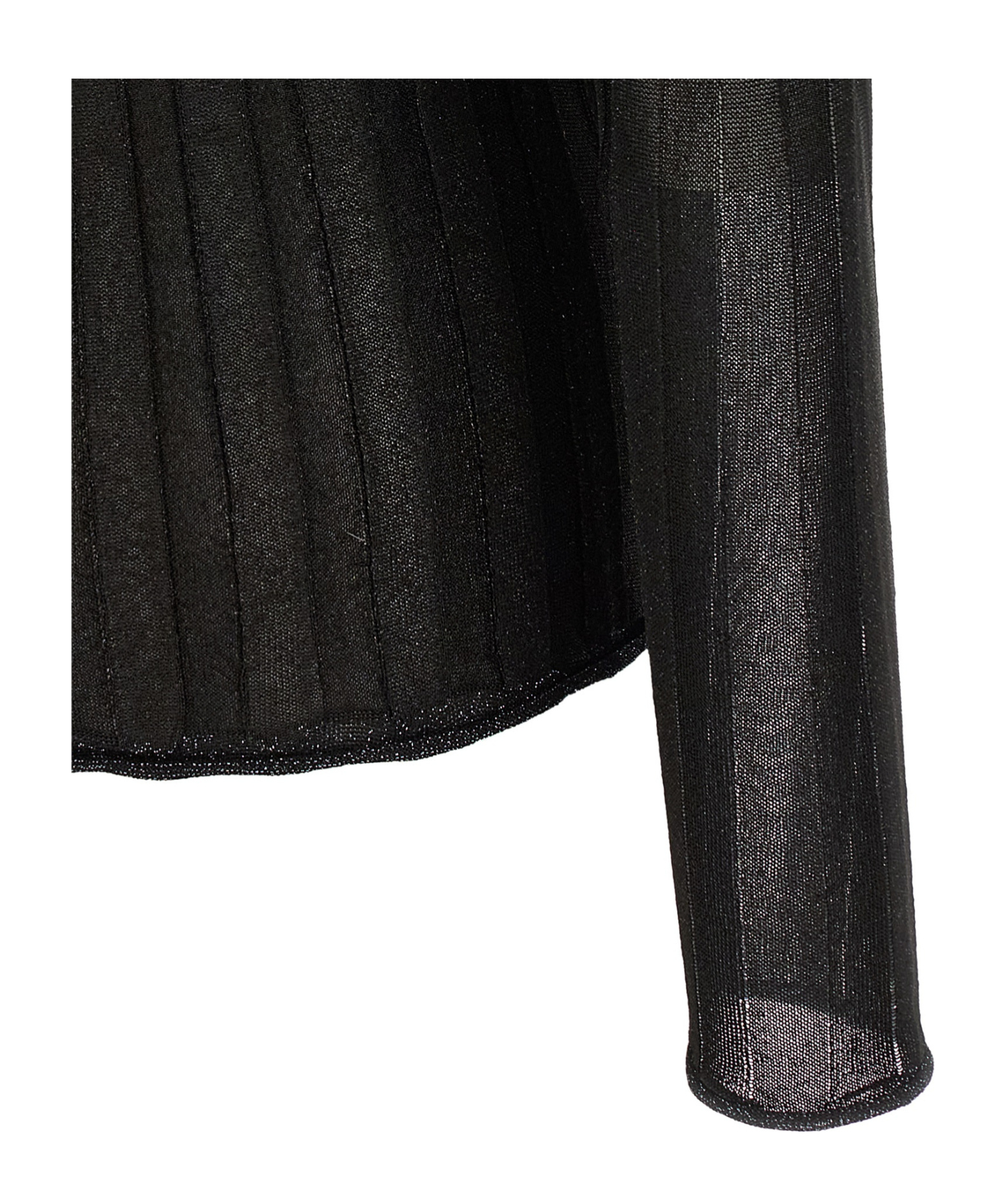 Fabiana Filippi Turtleneck Sweater With Ribbed Sheer Fabric In Black