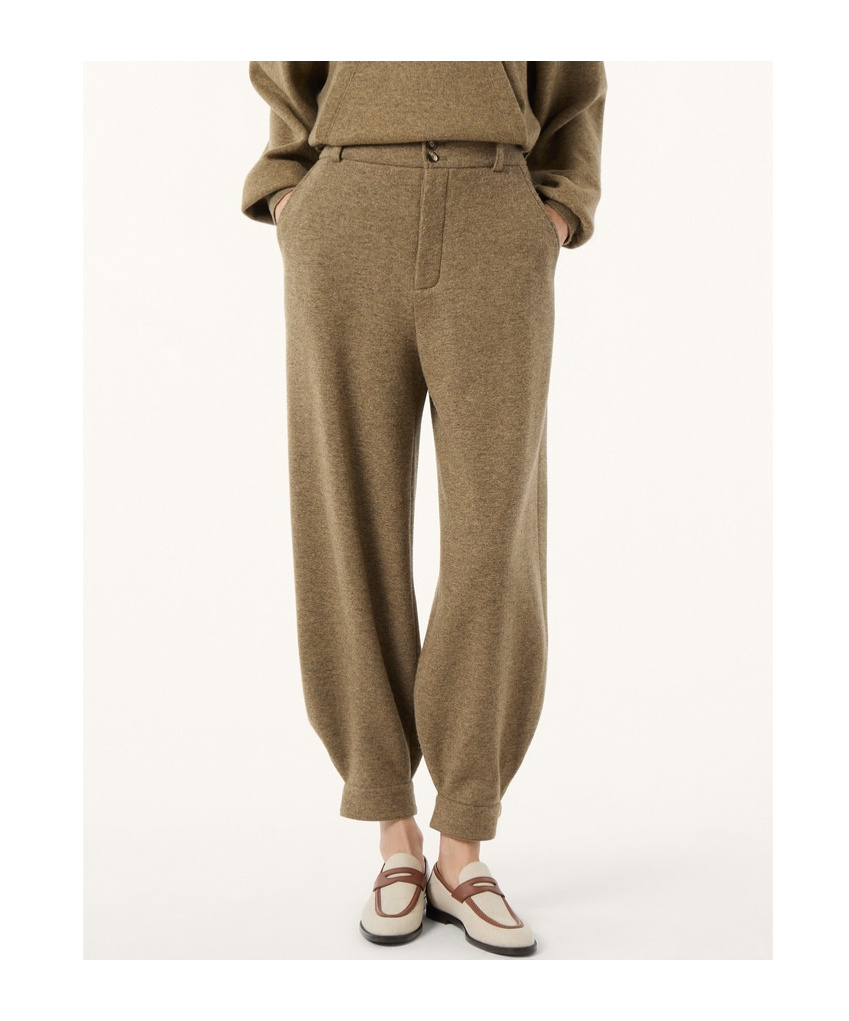 Loro Piana Rio Bodro Pants In Brown