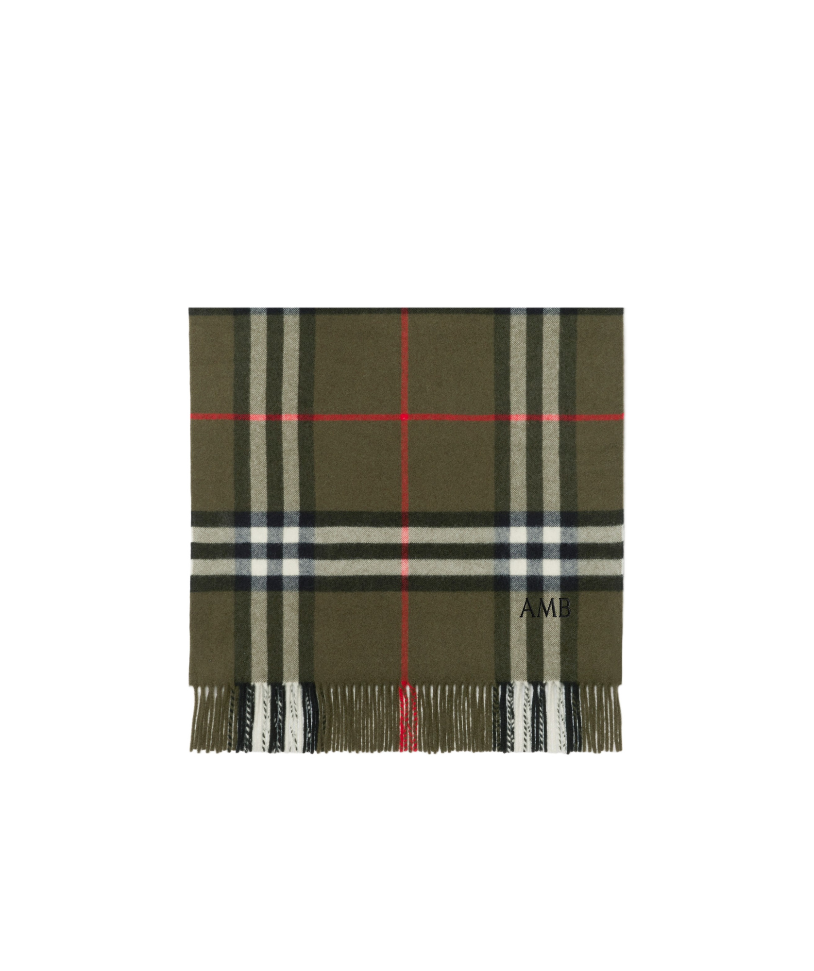Burberry Check-print Fringed Cashmere Scarf In Brown
