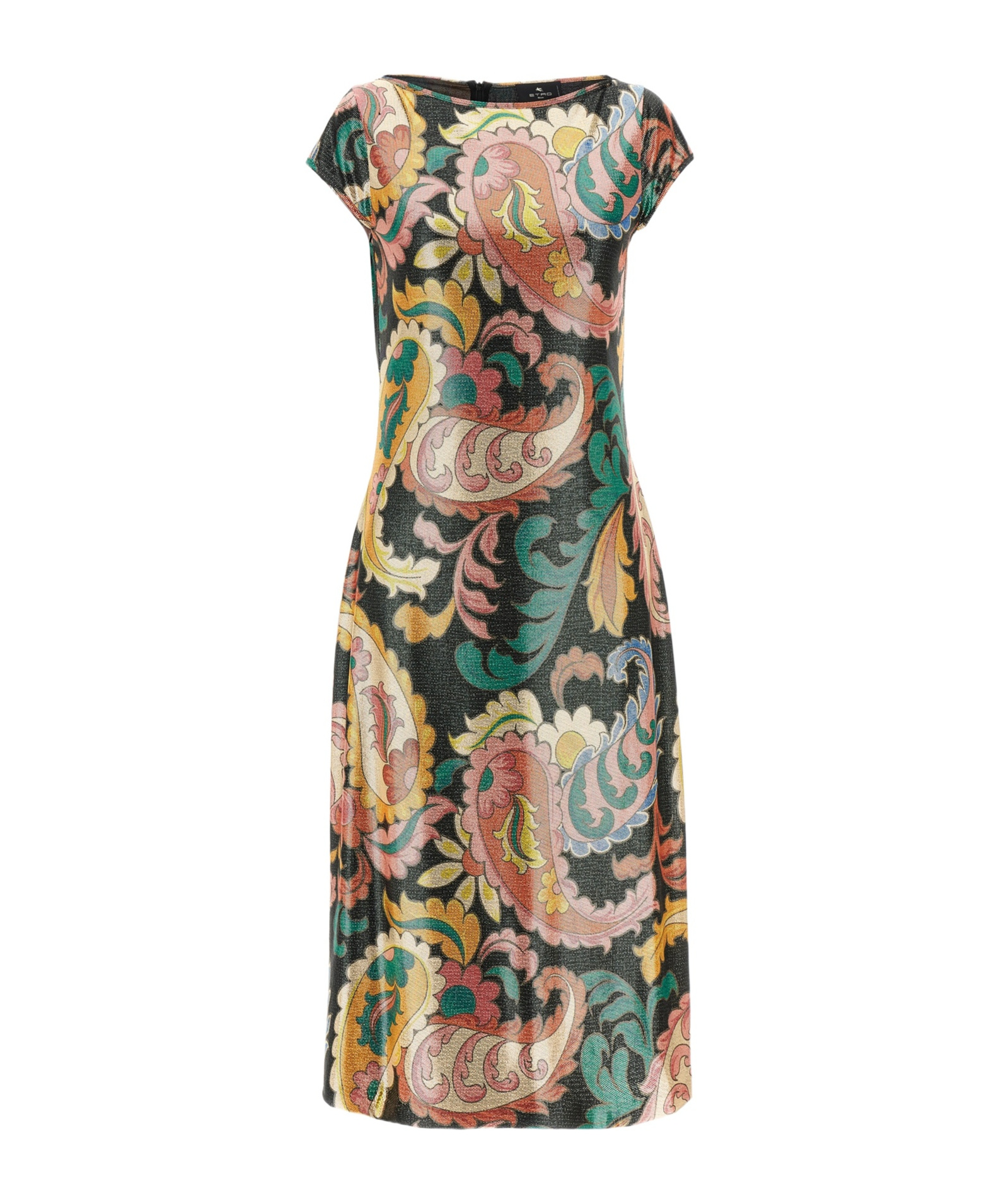 Etro Maxi Dress With Cap Sleeves And Paisley Pattern In Multicolor