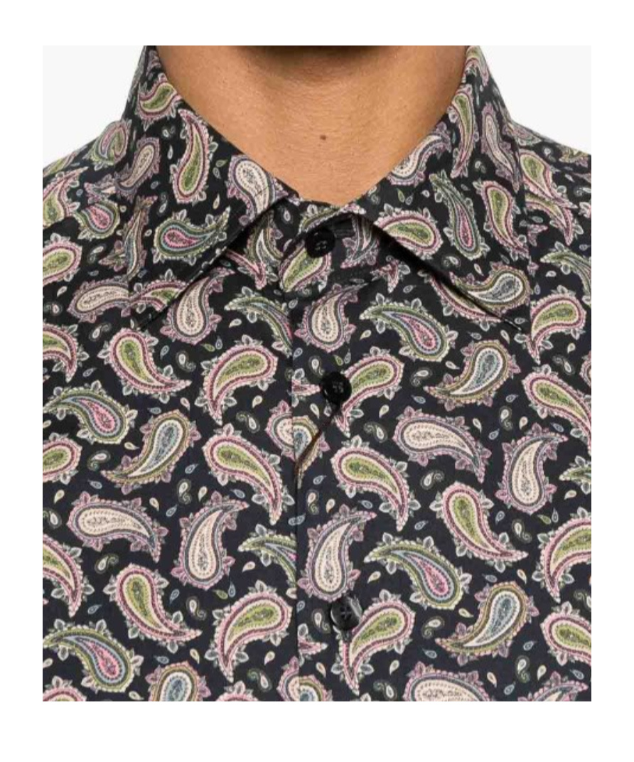 Etro Roma Paisley Print Shirt In Brown