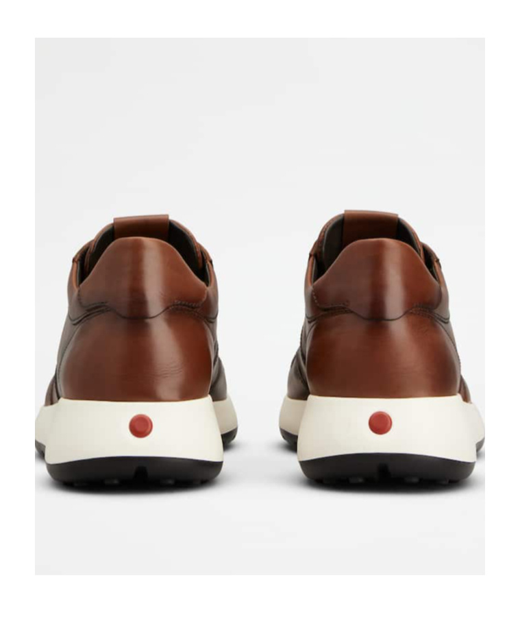 Tod's Leather Sneakers In Brown