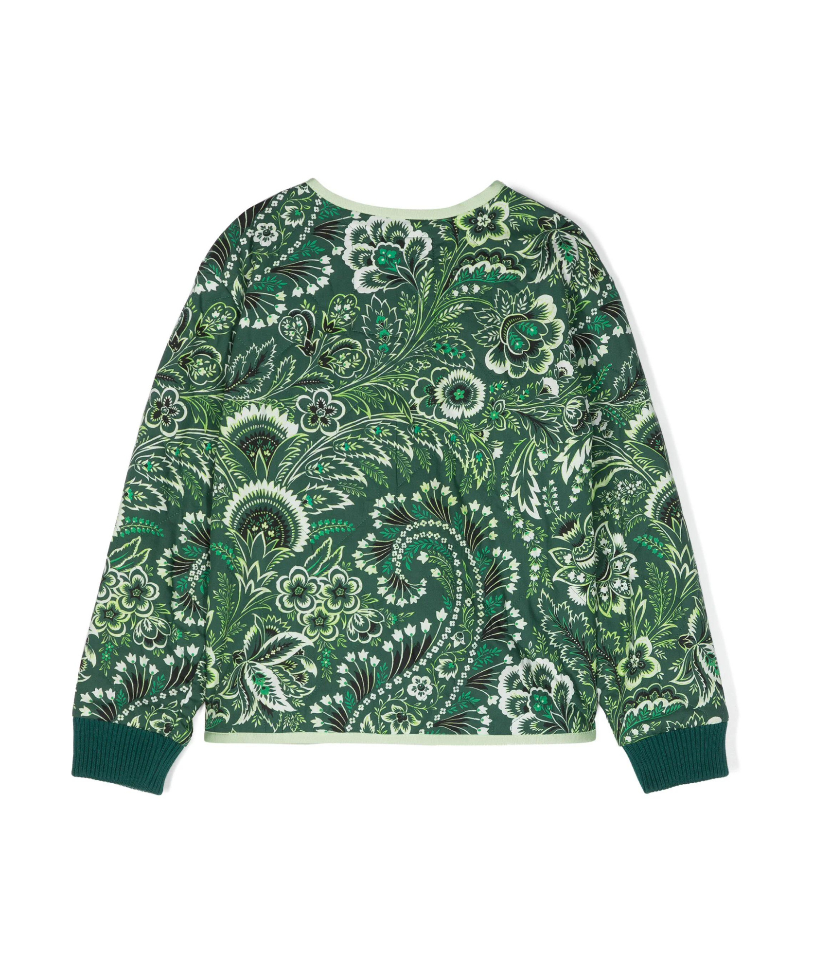 Etro Kids Paisley Printed Crewneck Jacket In Green