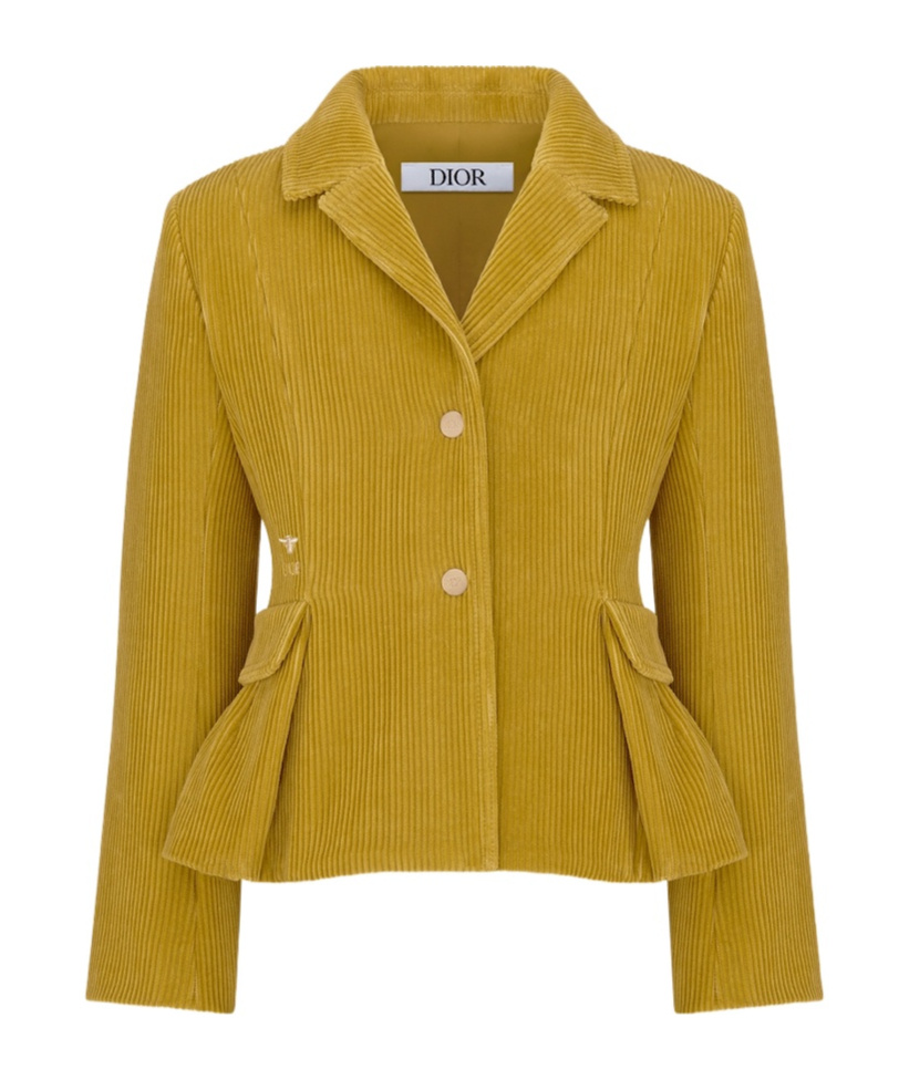 Dior Long Sleeve Jacket In Brown