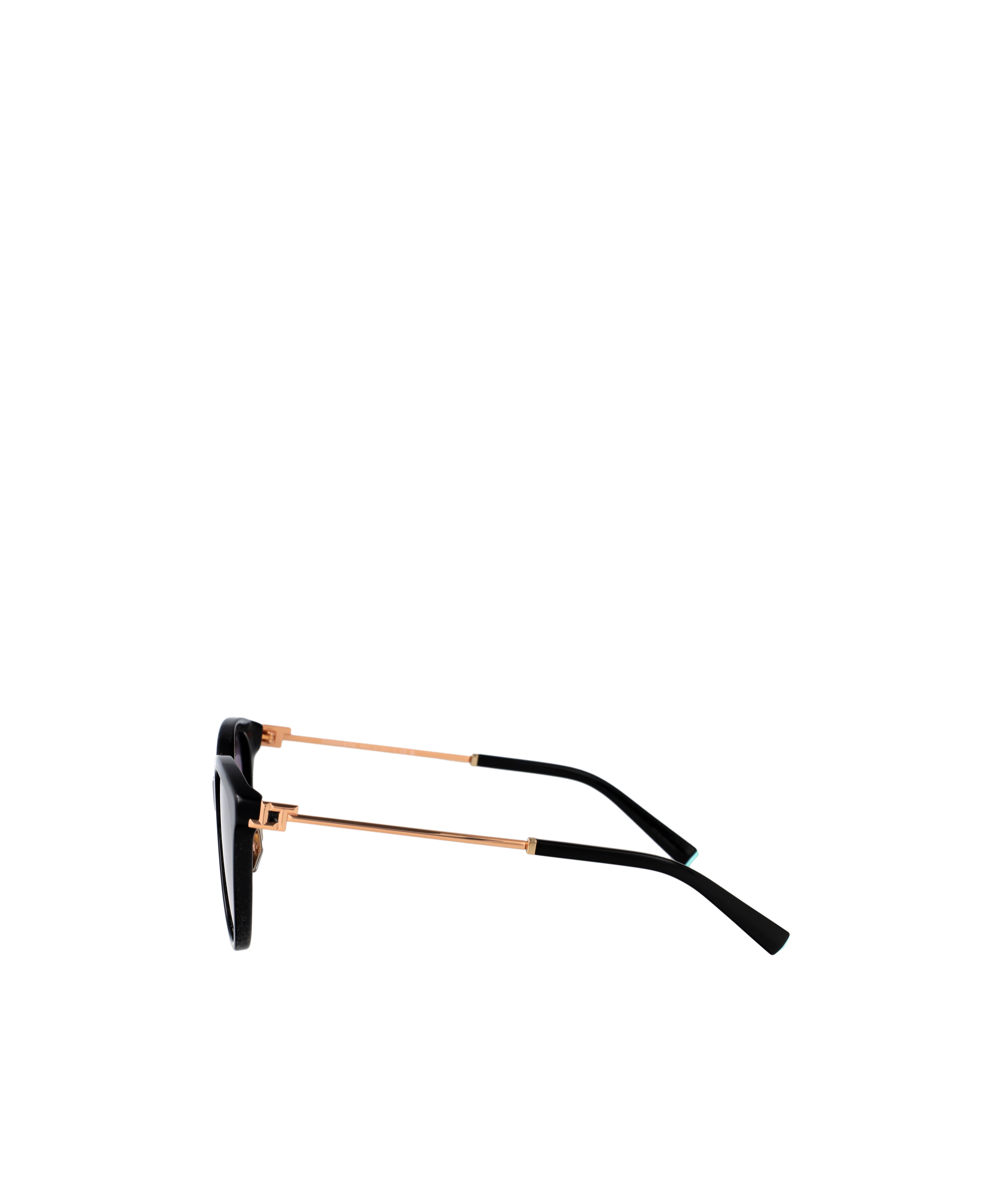 Tiffany & Co Full Frame Sunglasses In Black