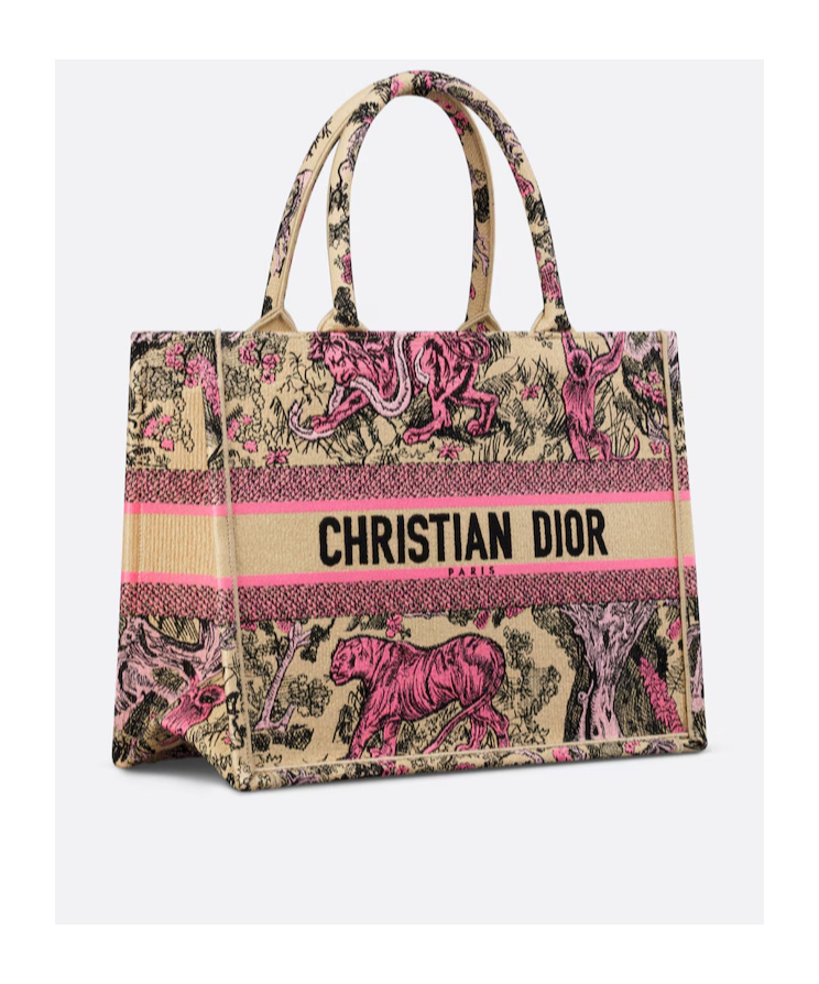 Dior Medium Iviera Handbag In Multicolor