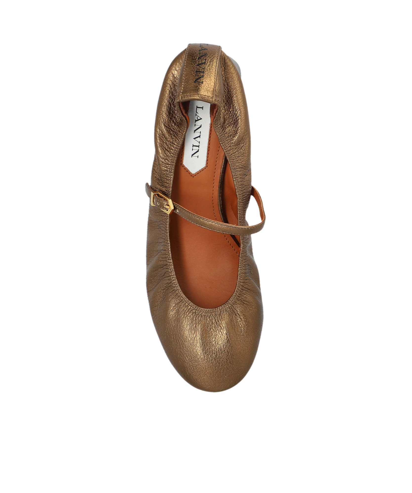 Lanvin Ballerina Pumps In Brown