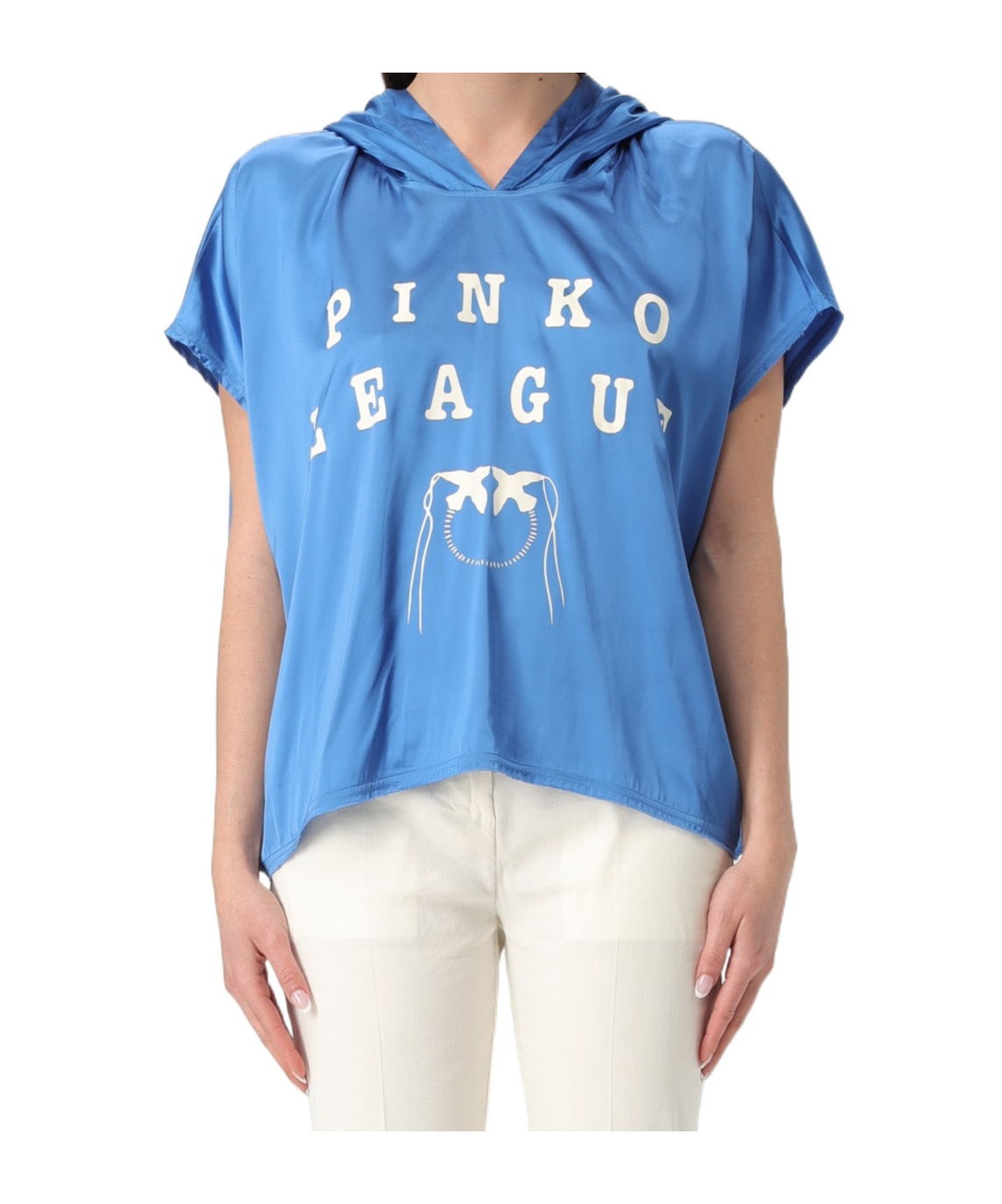 Pinko Hoodies In Blue