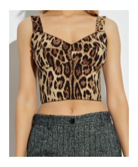 Dolce & Gabbana Leopard-print Bustier Top In Brown