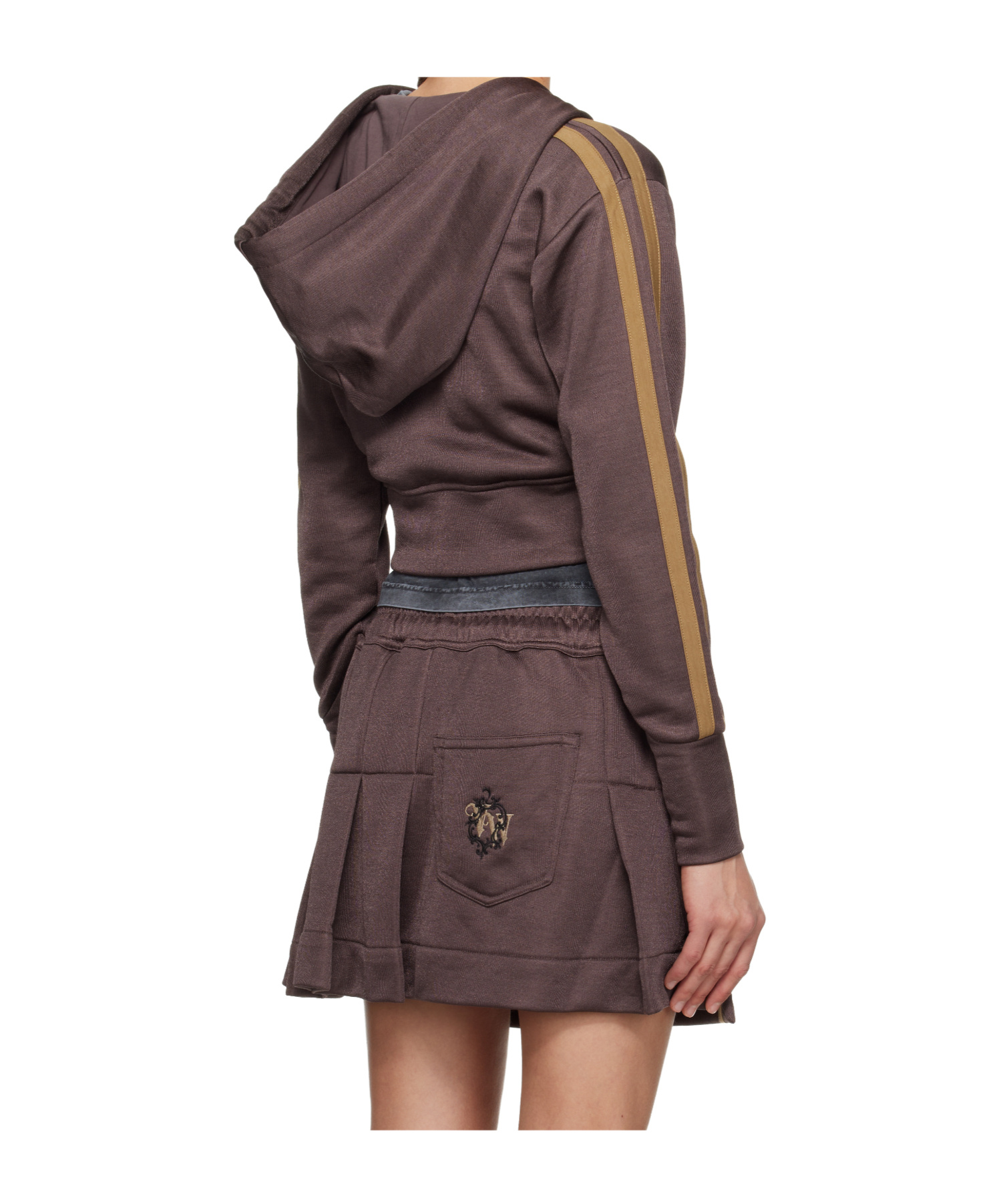 Vivienne Westwood Striped Leo Hoodie In Brown