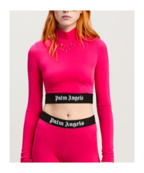 Palm Angels High Neck Cropped Performance Top In Pink