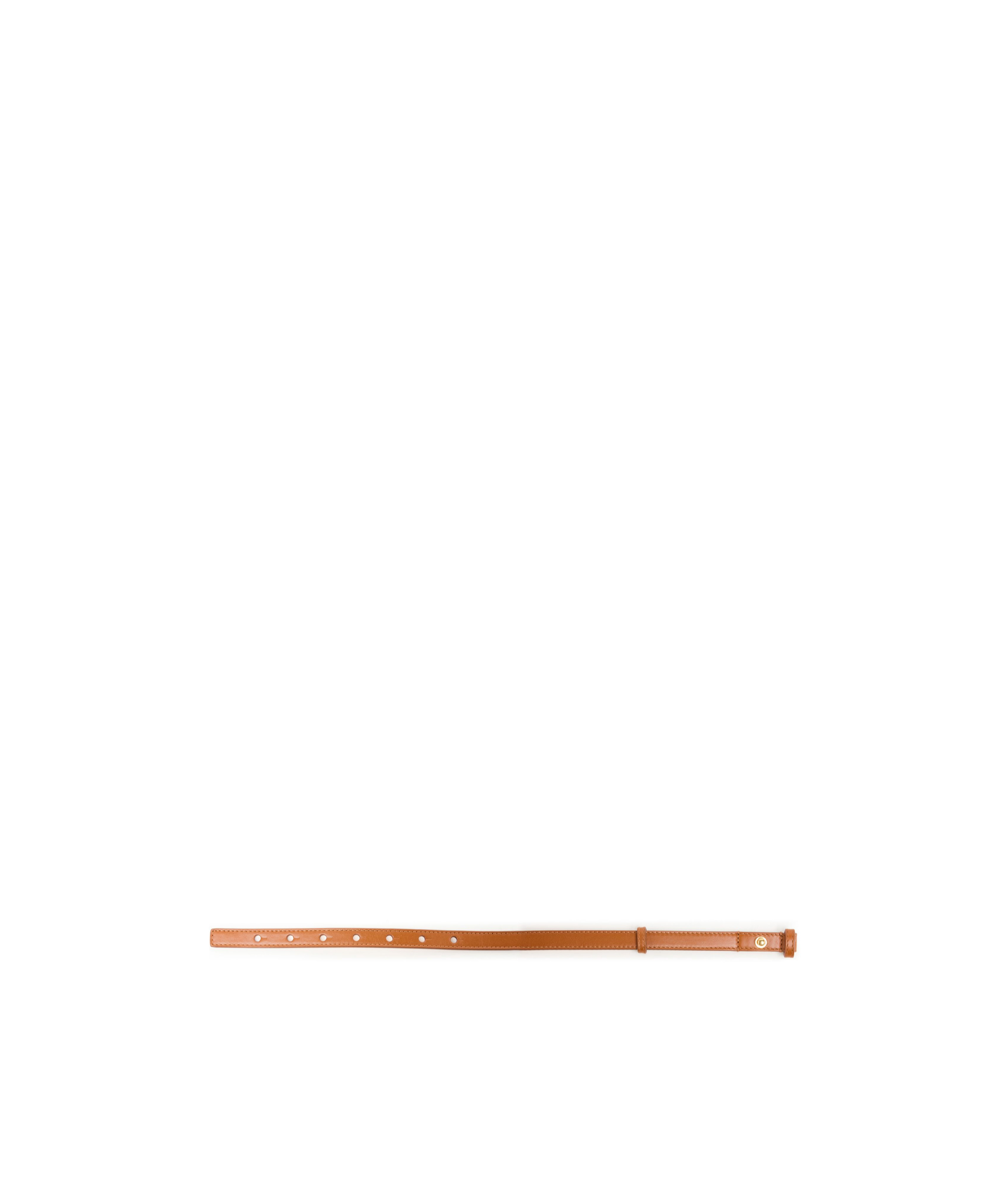 Chloé Iconic  Small Belt In Nude