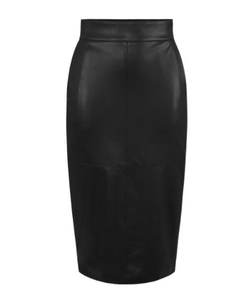 Elisabetta Franchi Pencil Skirt With Jewel Clasps In Black