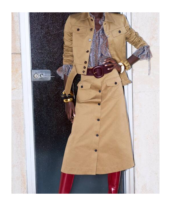 Saint Laurent Midi Skirt In Brown
