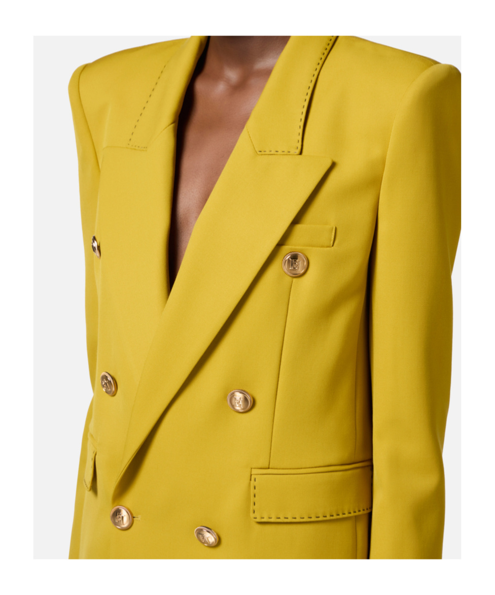 Elisabetta Franchi Double-breasted Blazer In Brown