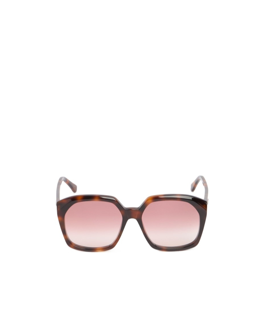 Chloé Full Frame Sunglasses