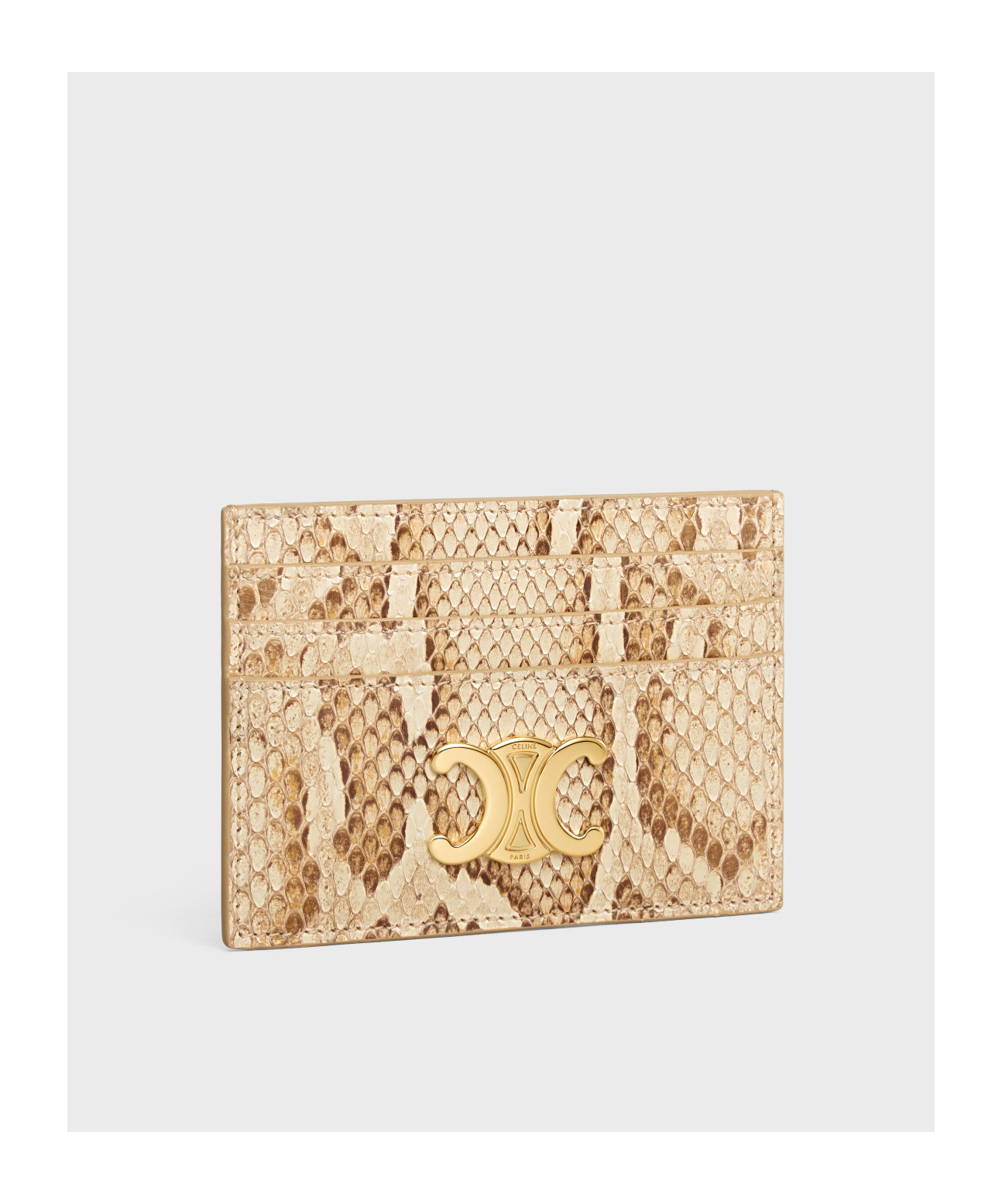 Celine Rectangular Card Bag In Nude