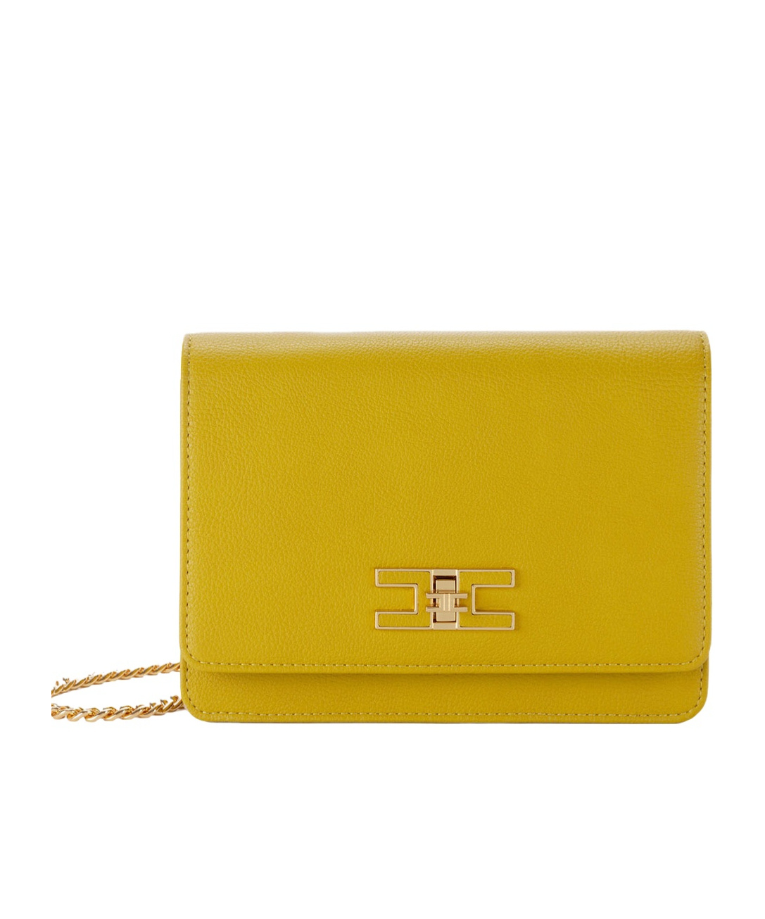 ELISABETTA FRANCHI ELISABETTA FRANCHI GROUMETTE CHAIN SMALL SHOULDER BAG 