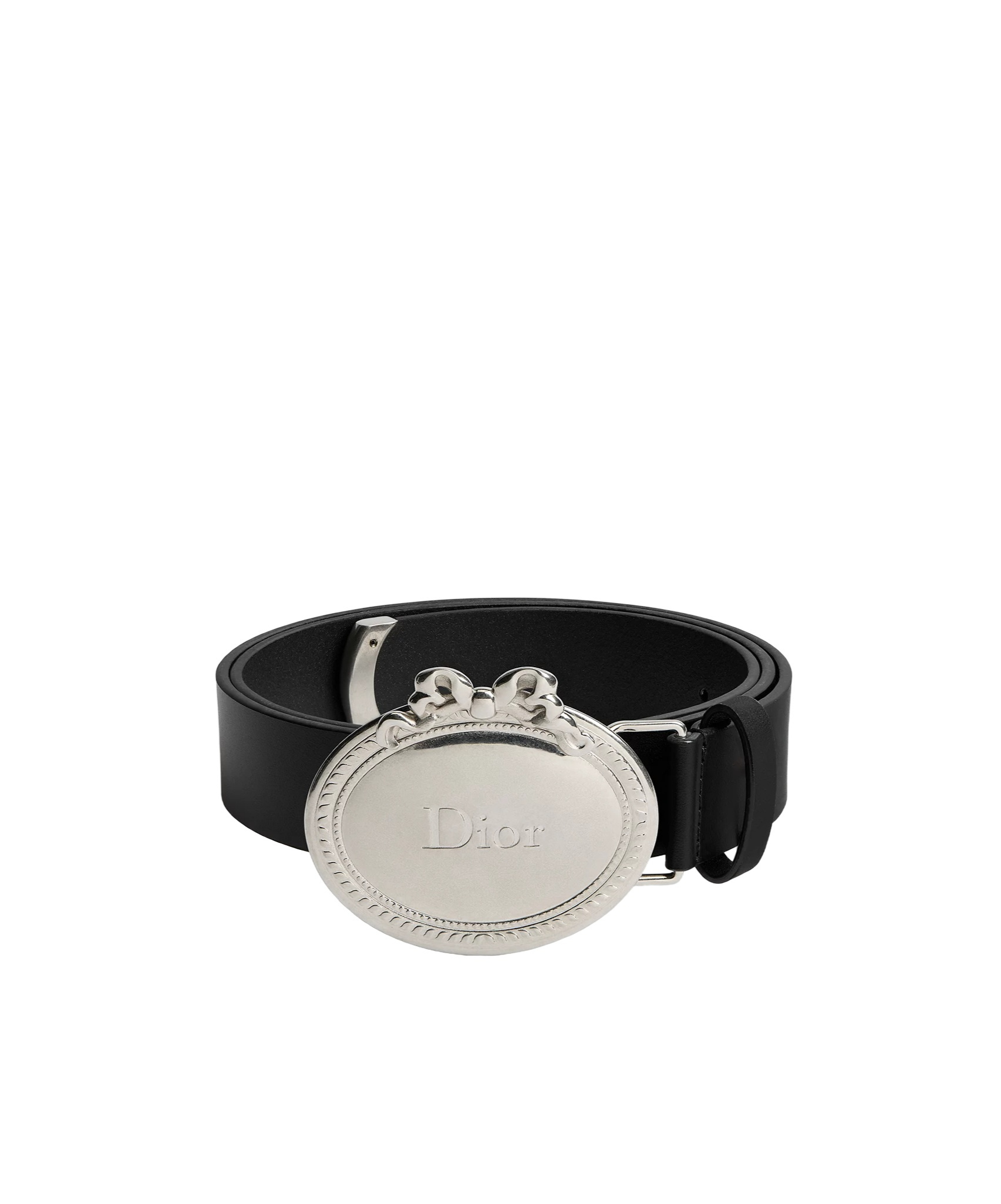 Dior Médaillon Belt In Multi
