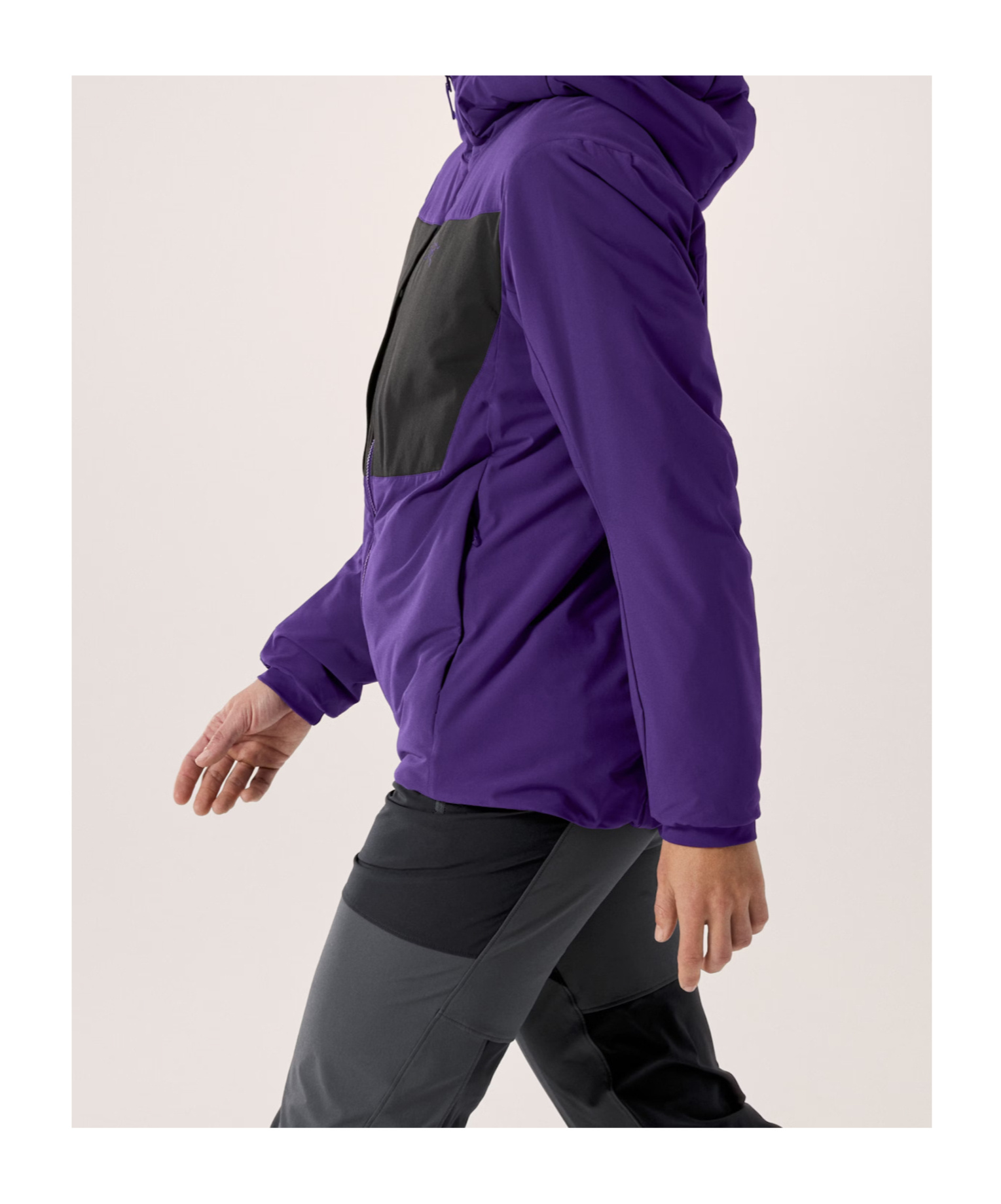 Arc'teryx Proton Heavyweight Hoody Women's In Purple