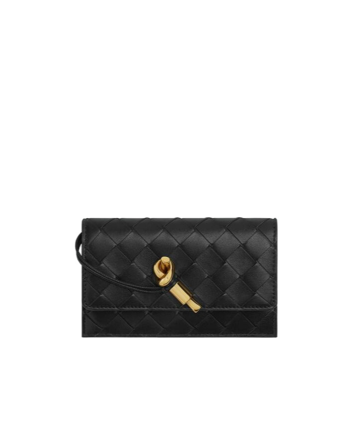 Bottega Veneta Andiamo Zippered Card Case In Black