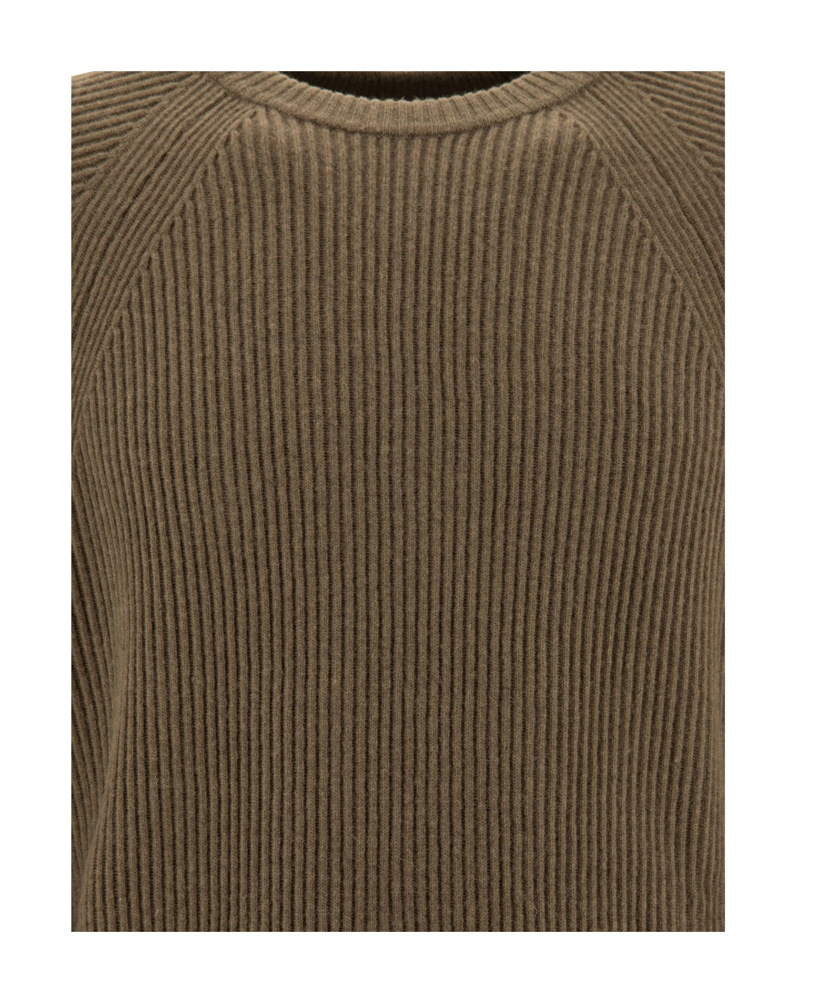 C.p. Company Lens Detail Ribbed Sweater In Brown