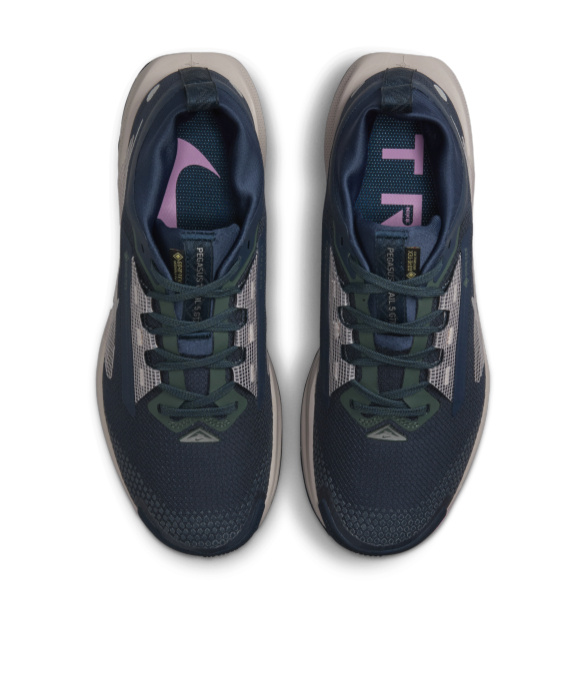 Nike Pegasus Trail 5 Gore-tex Cross-country Running Shoes In Black