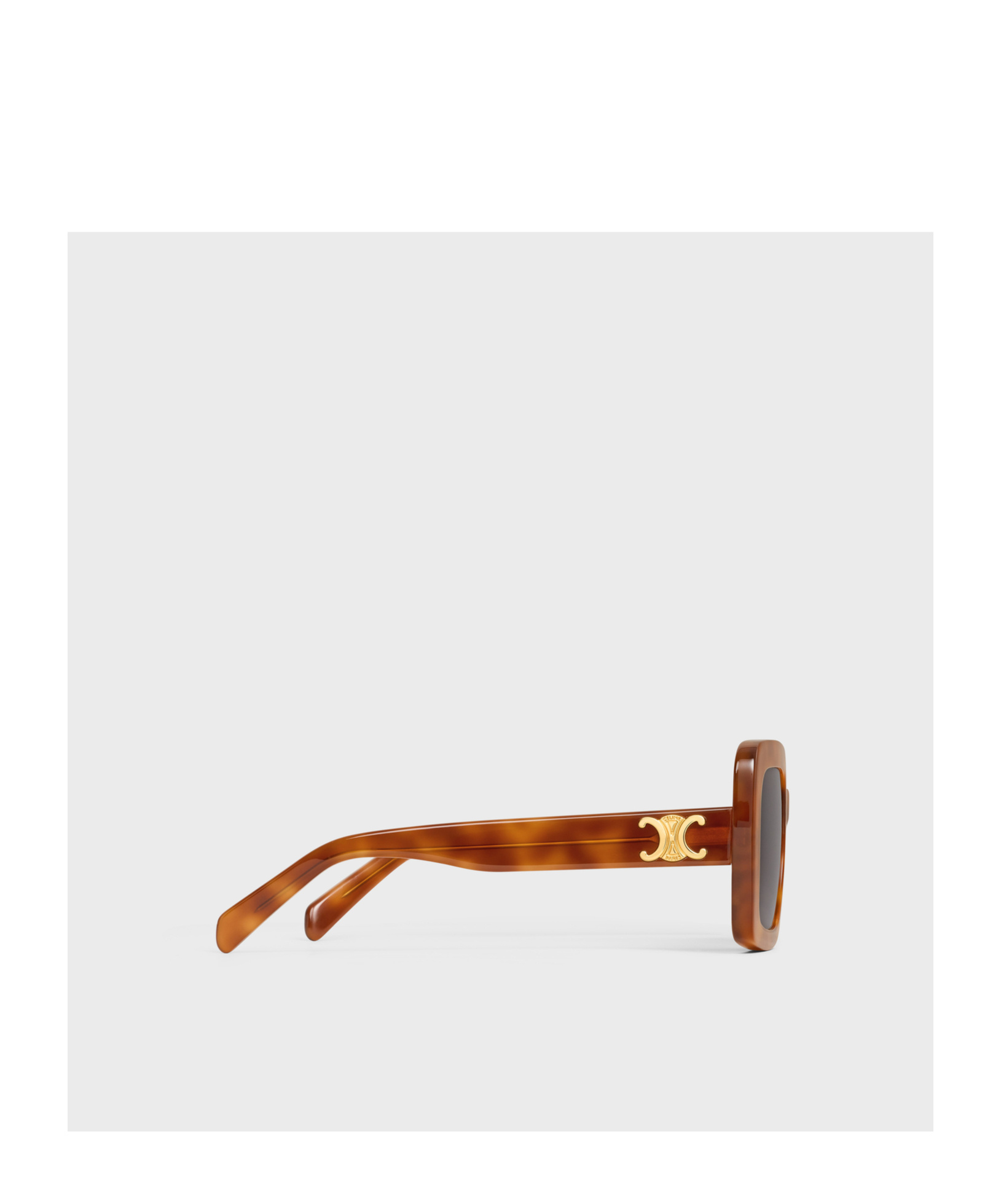 CELINE TRIOMPHE 13 SUNGLASSES IN ACETATE