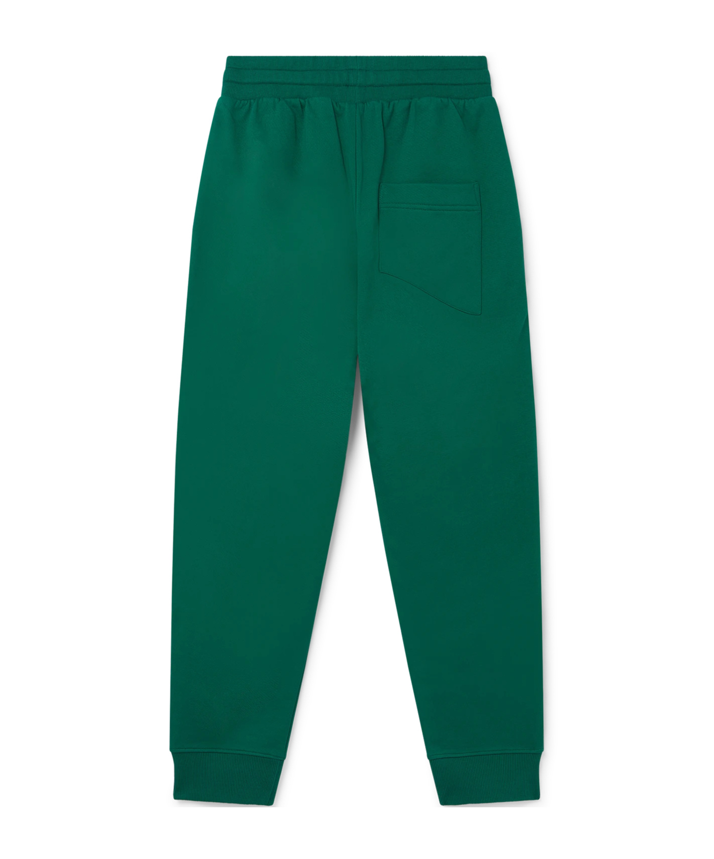 Casablanca Elastic Waist Casual Pants In Green