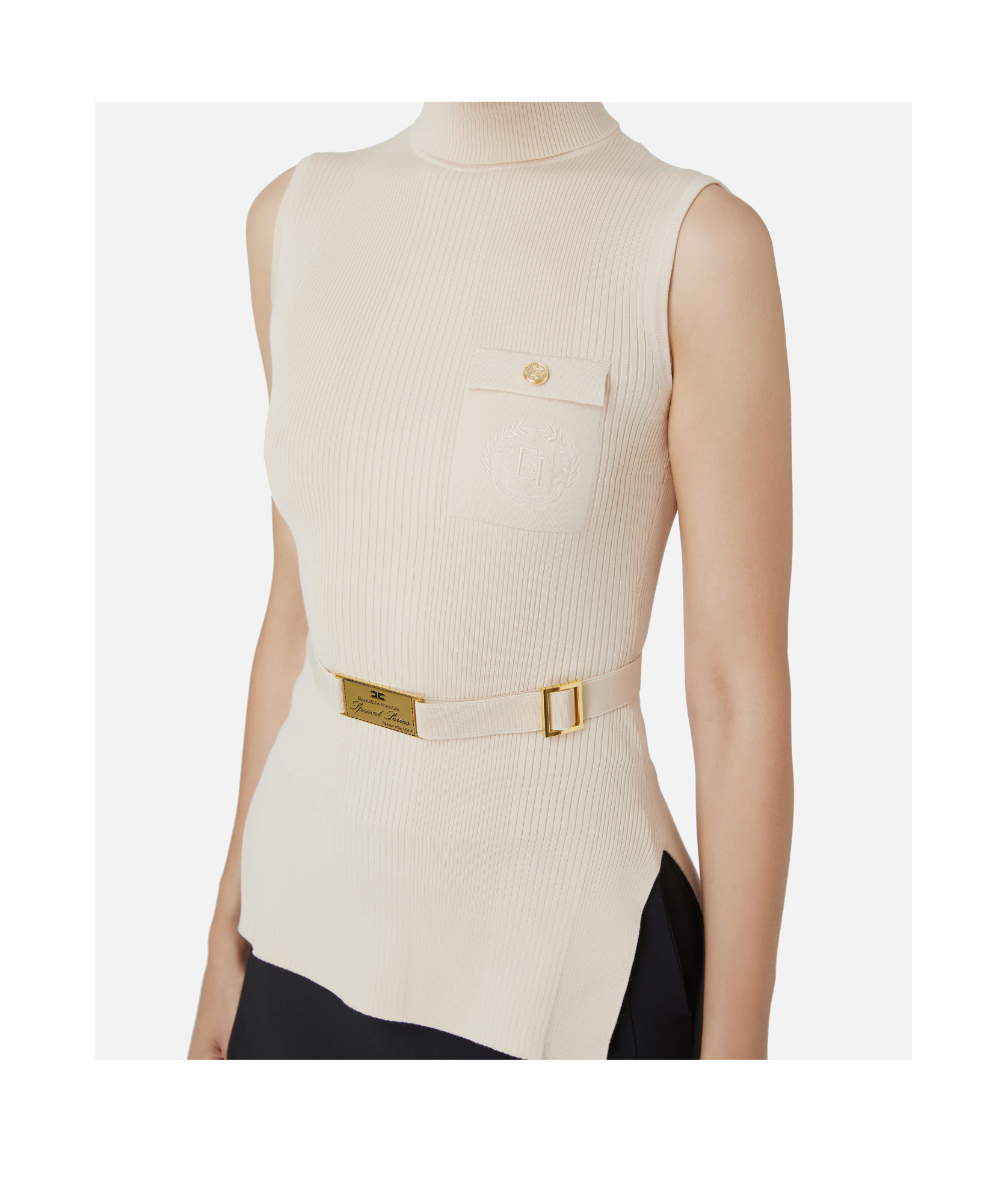 Elisabetta Franchi High-neck Sweater In Black