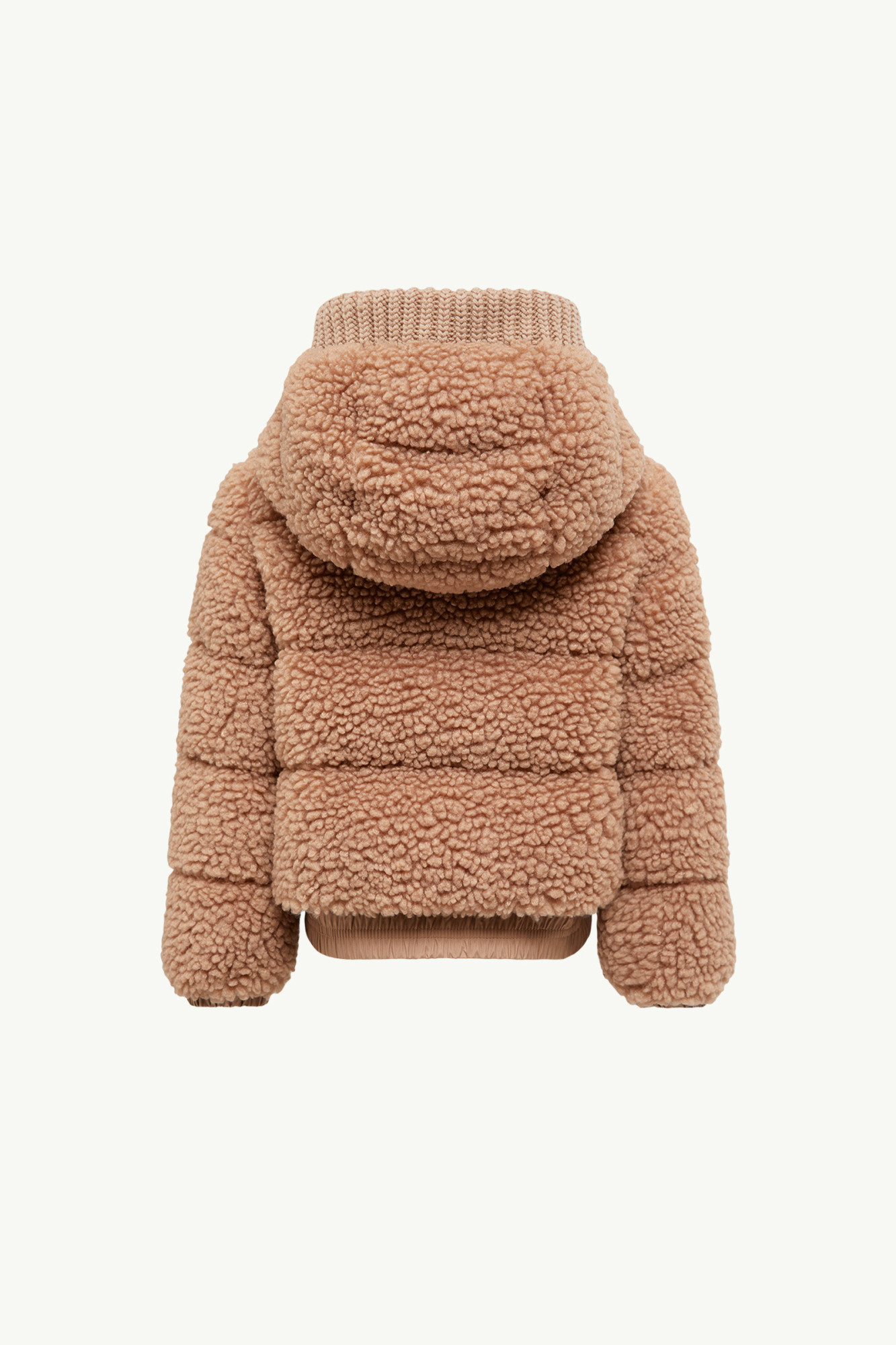 Moncler Adalbertas Teddy Hooded Down Jacket In Black